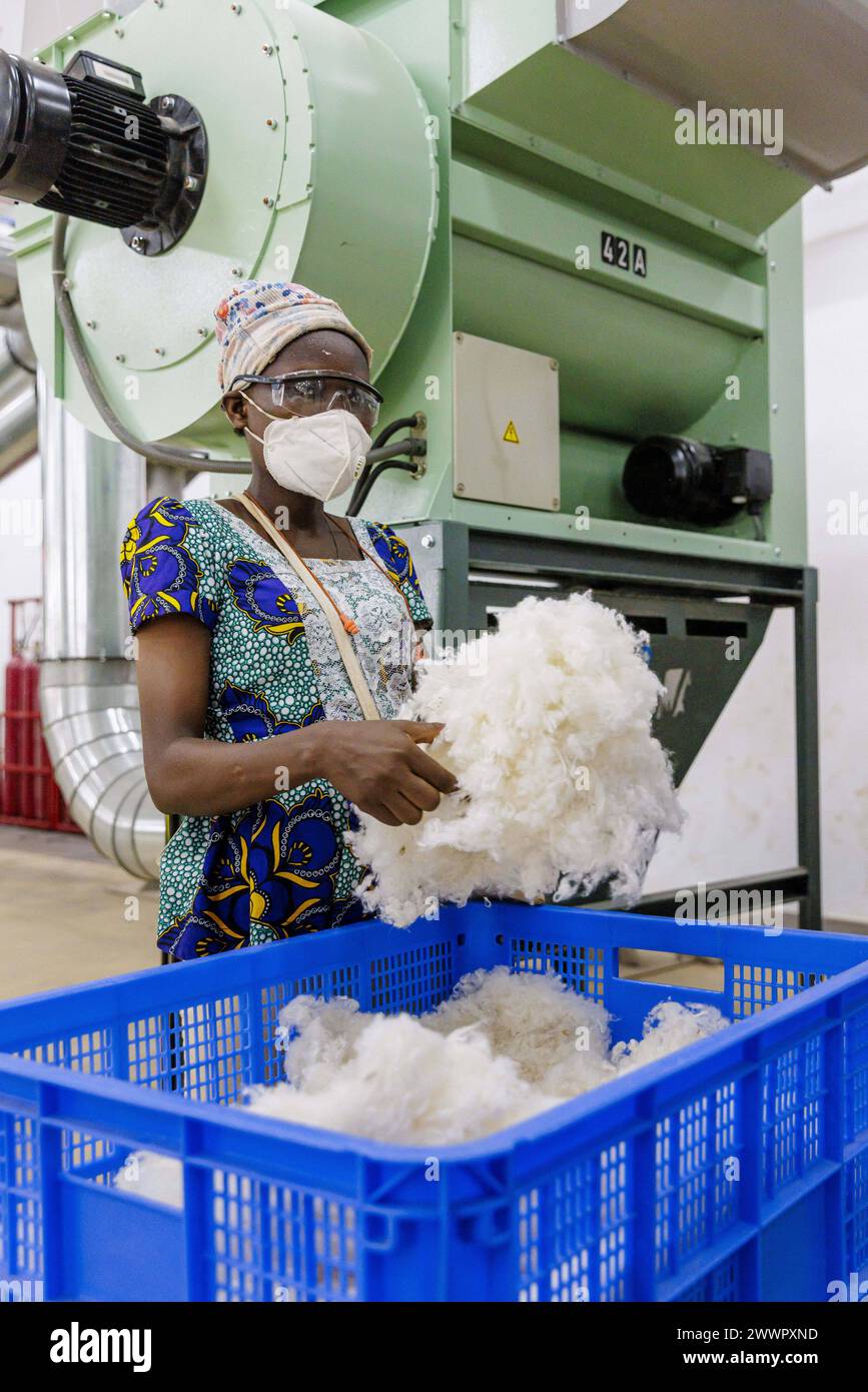 BENIN TEXTILE CORPORATION BENIN, Verarbeitung von Baumwolle in einer Spinnerei Fabrik in der Naehe von Cotonou in Benin, Glo-Djigbe, 07.03.2024. Glo-Djigbe Benin *** BENIN TEXTIL CORPORATION BENIN, Verarbeitung von Baumwolle in einer Spinnerei in der Nähe von Cotonou in Benin, Glo Djigbe, 07 03 2024 Glo Djigbe Benin Copyright: xUtexGrabowskyxphotothek.dex Stockfoto