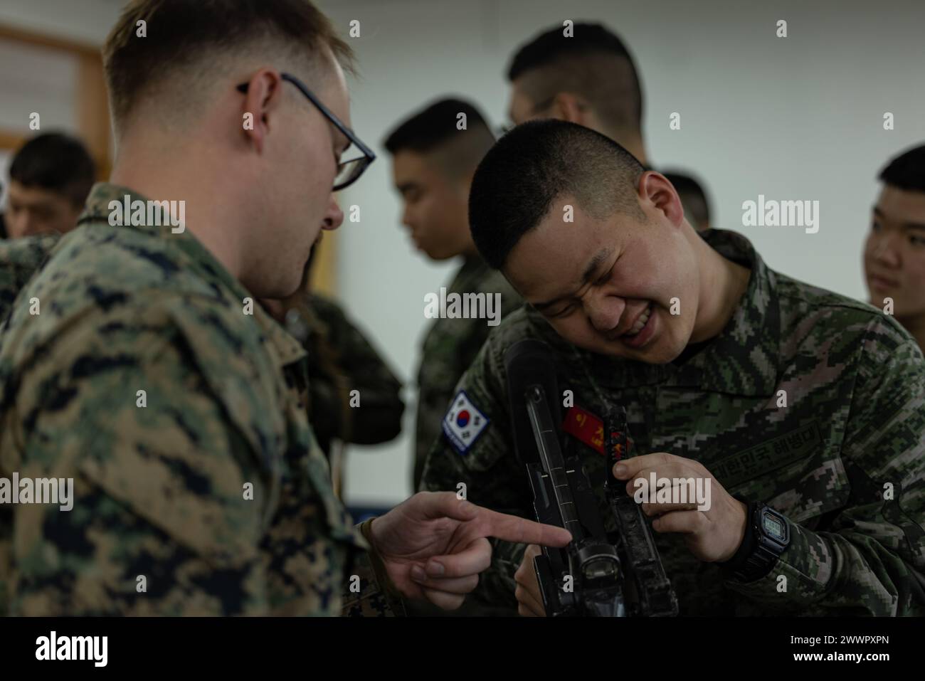 US-Marines und die Republik Korea-Marines nehmen während der Korea Viper 24,1 am Hauptquartier der 1. Marine-Infanterie-Division der Republik Korea am 5. Februar 2024 Teil. Korea Viper demonstriert in seiner ersten Version die Fähigkeit des ROK-US Marine Corps, in der Region als einzigartige, vereinte Kraft entschieden zu reagieren und gleichzeitig die Beziehungen und das Vertrauen zwischen den beiden Verbündeten zu stärken. Die Marines sind beim 2. Bataillon, 7. Marines. 2/7 wird im Indo-Pazifik unter dem 4. Marine Regiment, 3. Marine Division, als Teil der Unit Depl eingesetzt Stockfoto