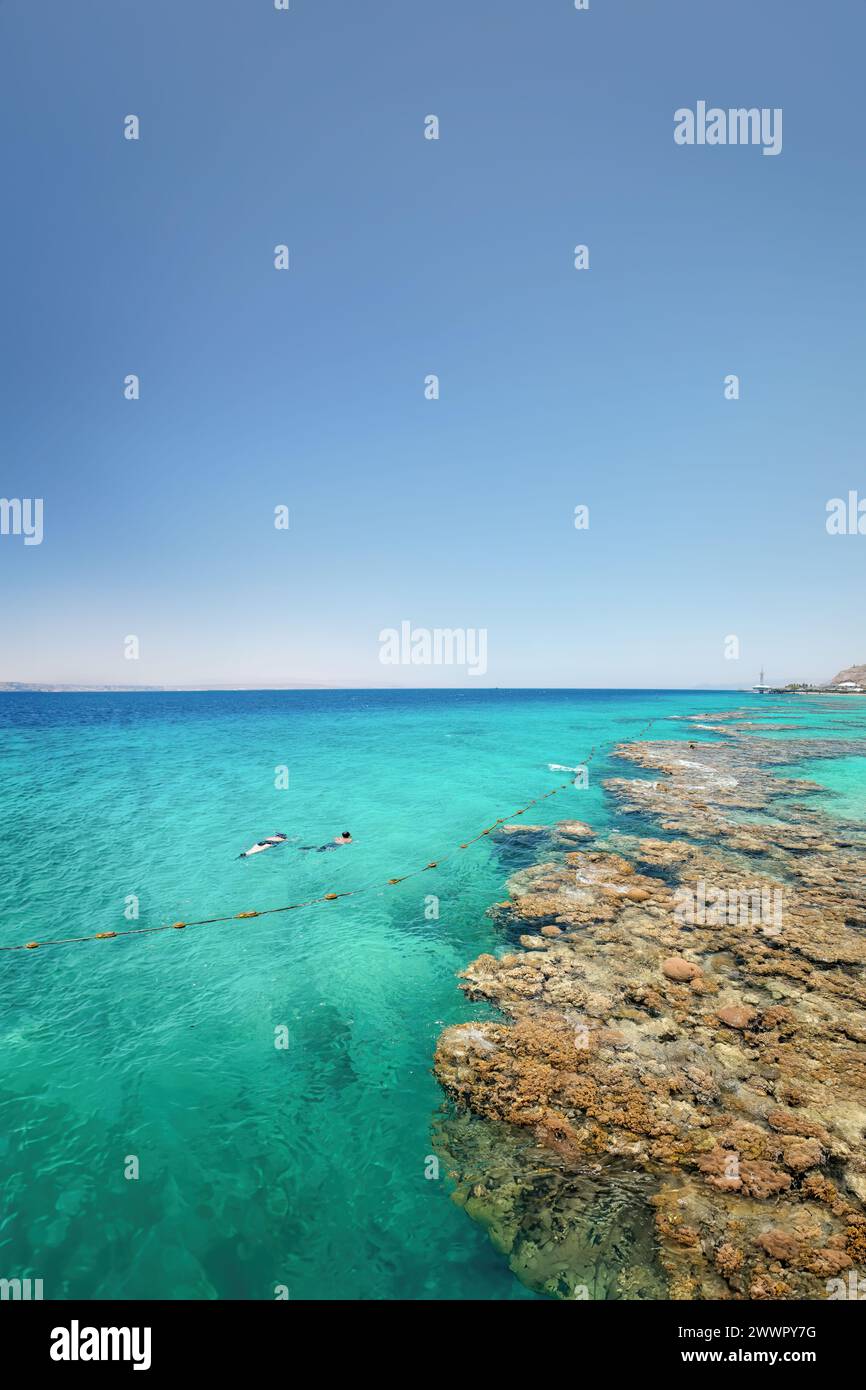 Unterwasserkorallen am leeren Strand im beliebten Resort Eilat am Roten Meer in Israel. Stockfoto