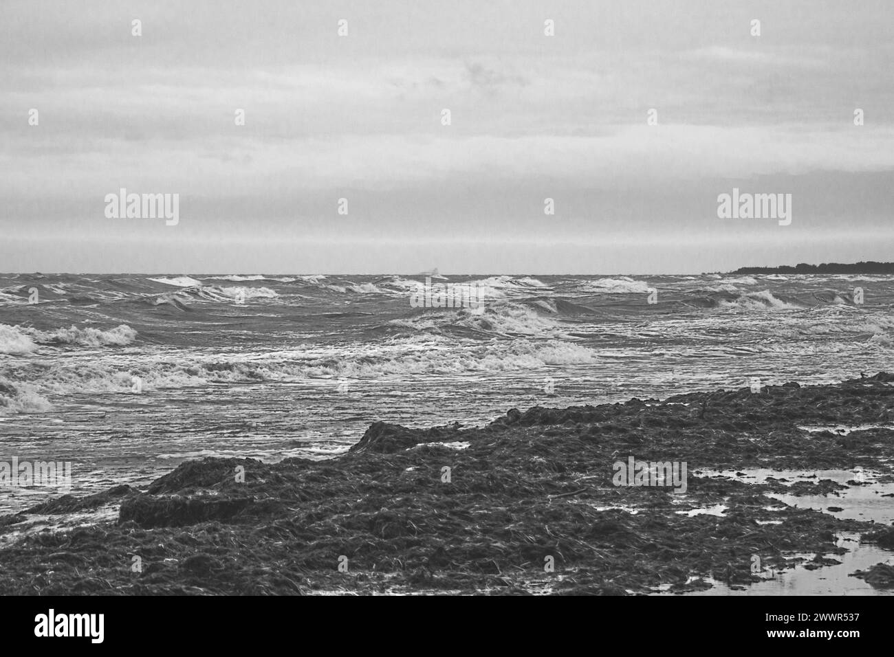 Stürmischer Tag an der Küste von Falster Island in Dänemark Stockfoto