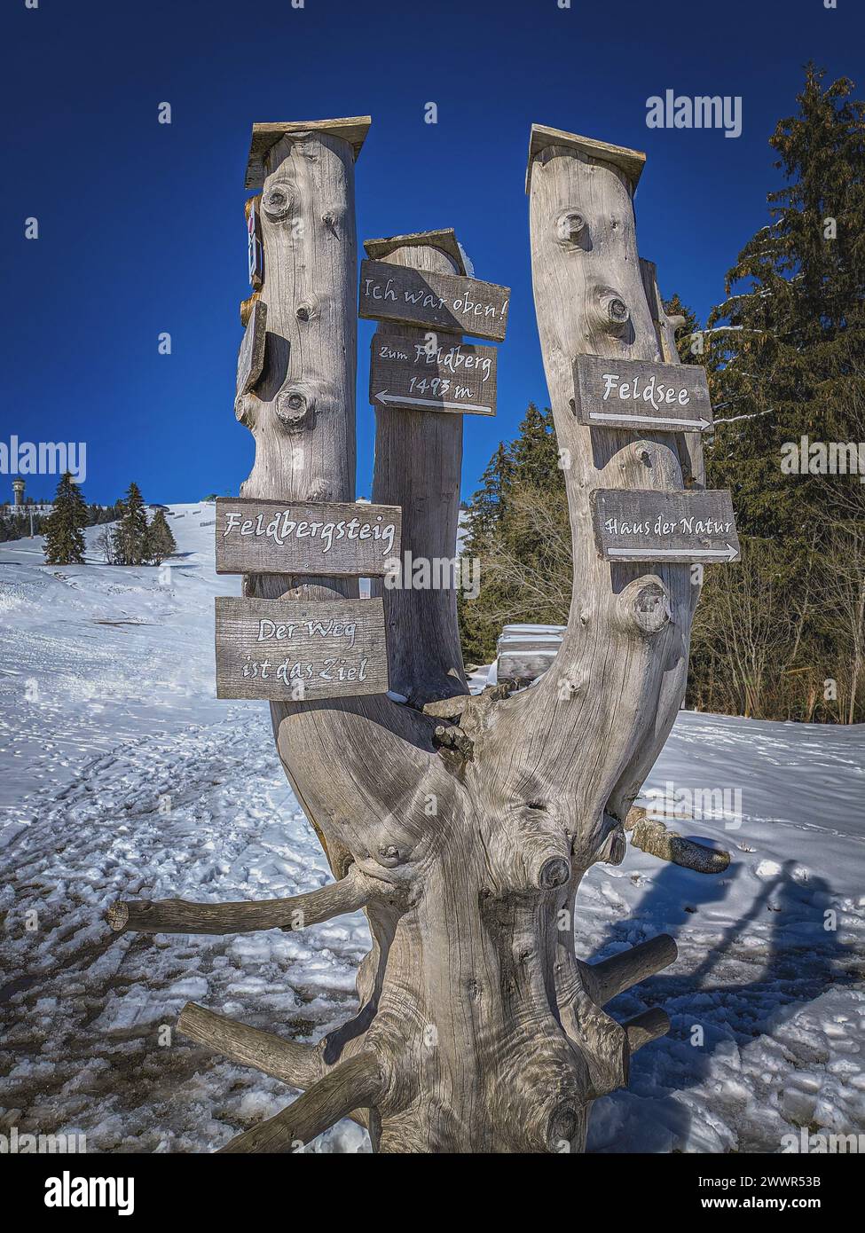 Wegweiser Feldberg im Schwarzwald. Stockfoto