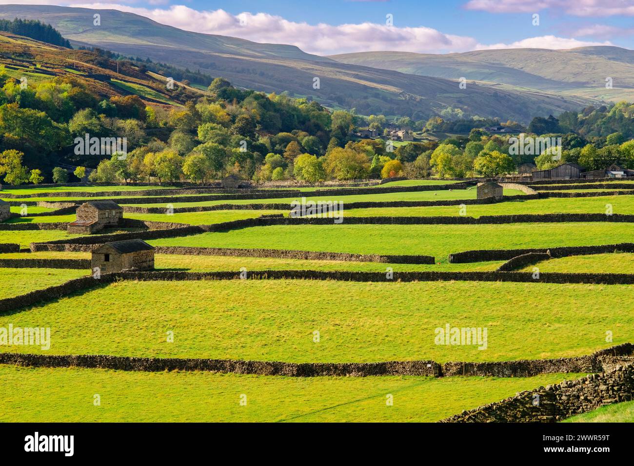 Sonnendurchflutete englische Landschaft mit Scheunen und Steinmauern im Yorkshire Dales National Park. Gunnerside, Swaledale, North Yorkshire, England, Vereinigtes Königreich, Großbritannien Stockfoto