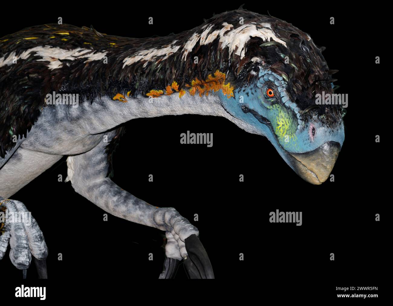 Modell von Therizinosaurus cheloniformis. Sie lebte in Asien während der späten Kreidezeit, vor etwa 70 Millionen Jahren. Stockfoto