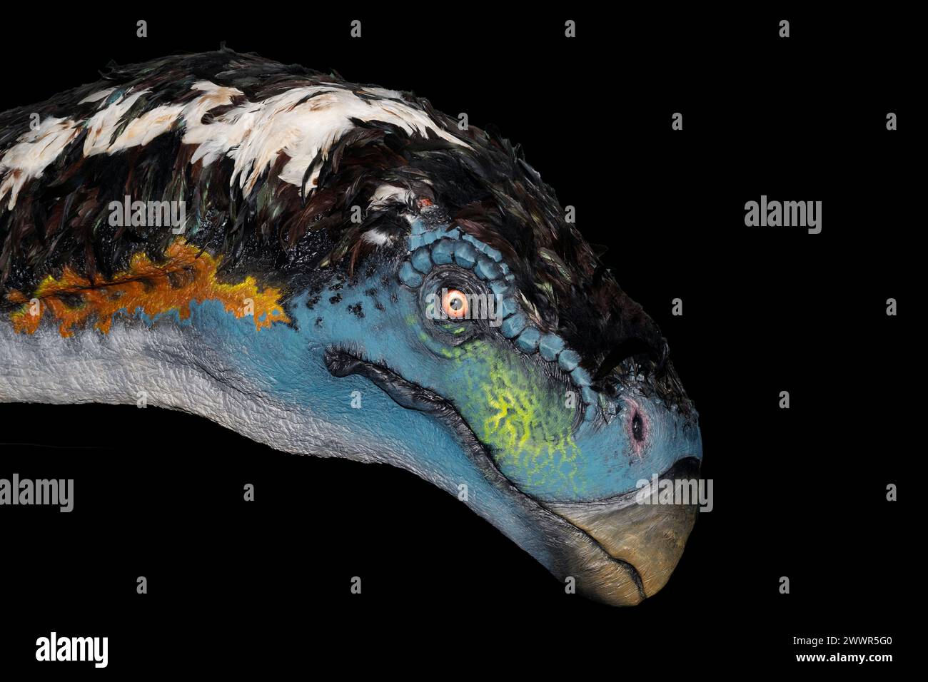 Modell von Therizinosaurus cheloniformis. Sie lebte in Asien während der späten Kreidezeit, vor etwa 70 Millionen Jahren. Stockfoto