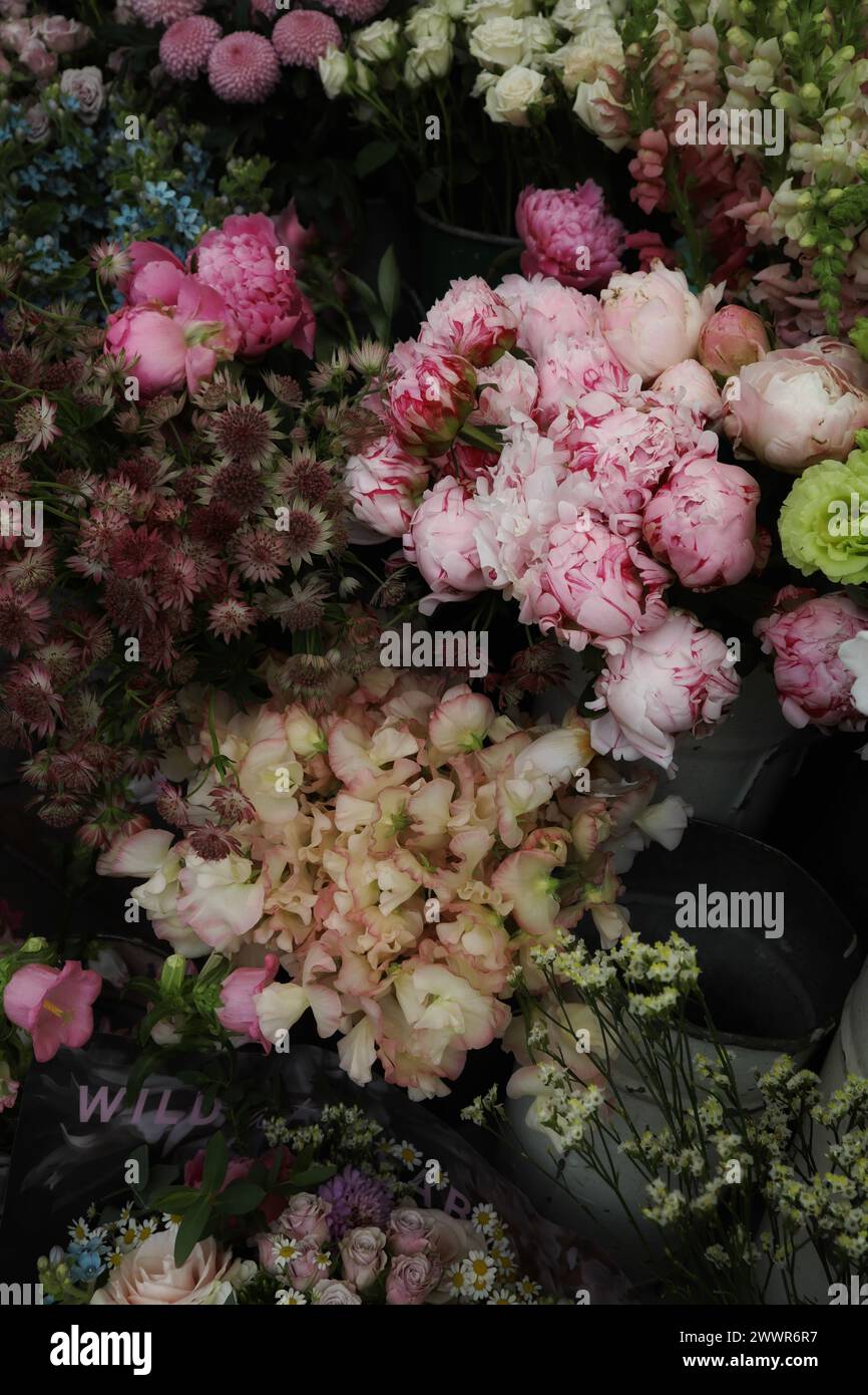 Marktblumen-Arrangement, lebendiges Blumendisplay auf dem Markt – atemberaubende Bilder in hoher Qualität Stockfoto
