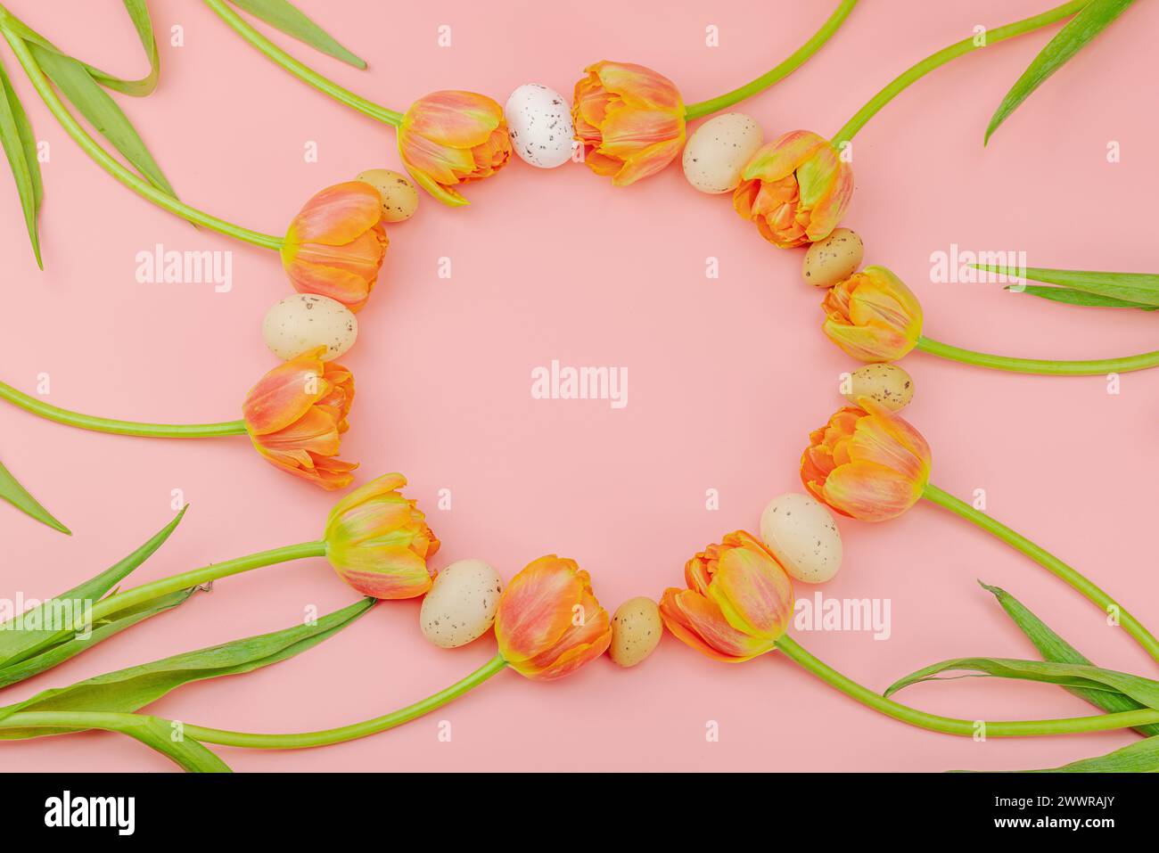 Blühende Tulpen mit Ostereiern auf rosa Hintergrund. Happy Holiday Konzept, Grußkarte, traditionelle festliche Komposition, Blick von oben Stockfoto