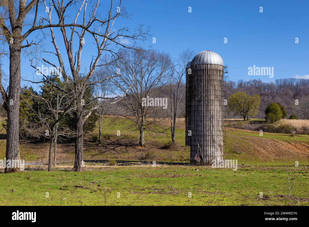 Landschaftliche Sicht auf landwirtschaftliches Land und zwei Silos unter blauem Himmel in der ländlichen Landschaft Virginias. Stockfoto