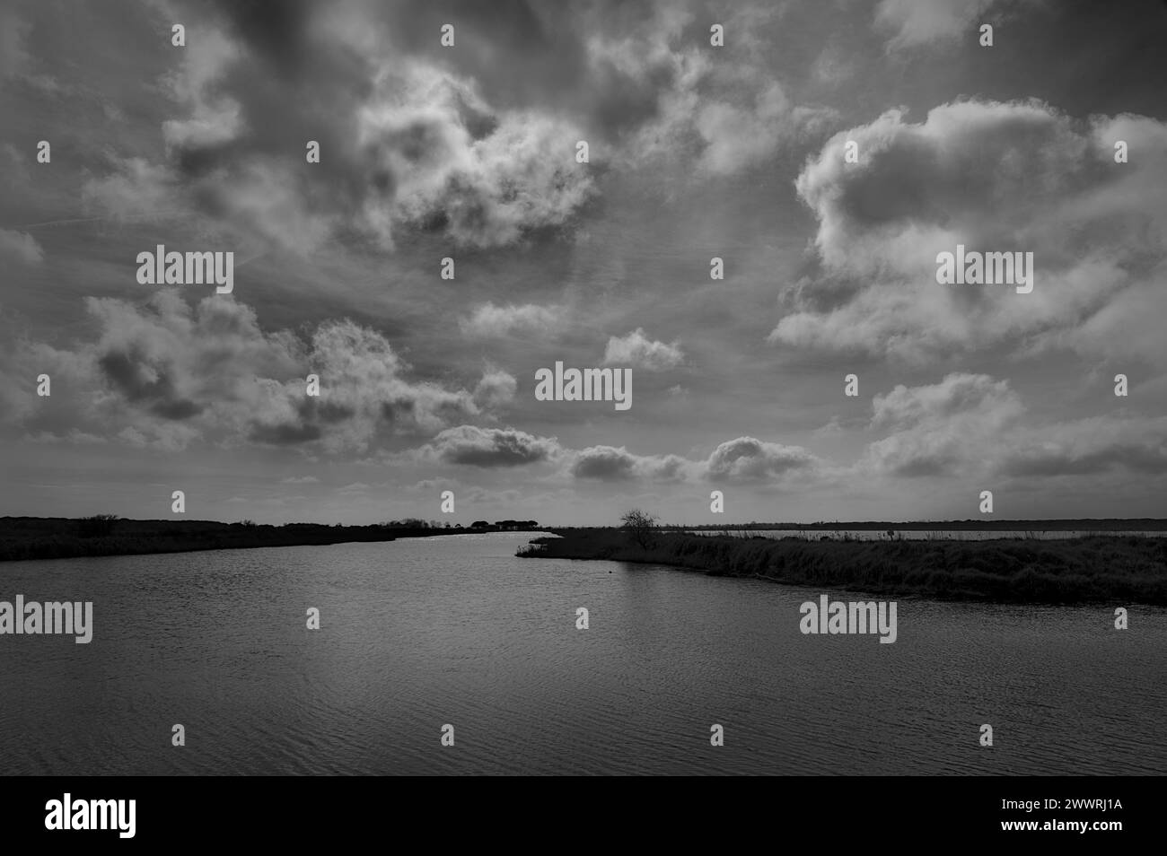 Landschaft in der Gegend zwischen Lido di Dante und dem Fluss Fiumi Uniti. Schwarzweißbilder mit starkem Kontrast, der Wolken hervorhebt Stockfoto