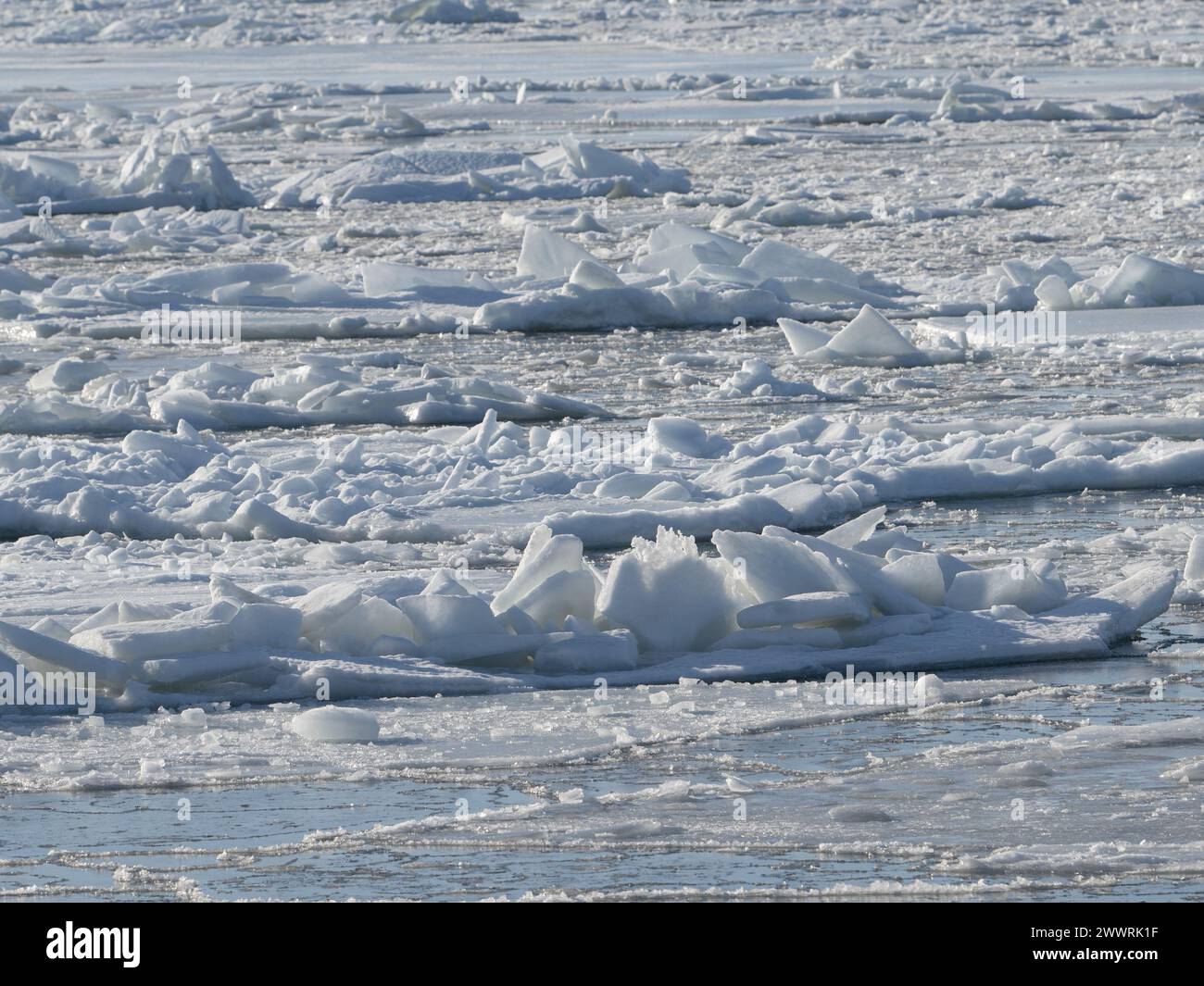 Wunderschöne Eisberge, die im Wasser schwimmen und langsam schmelzen Stockfoto