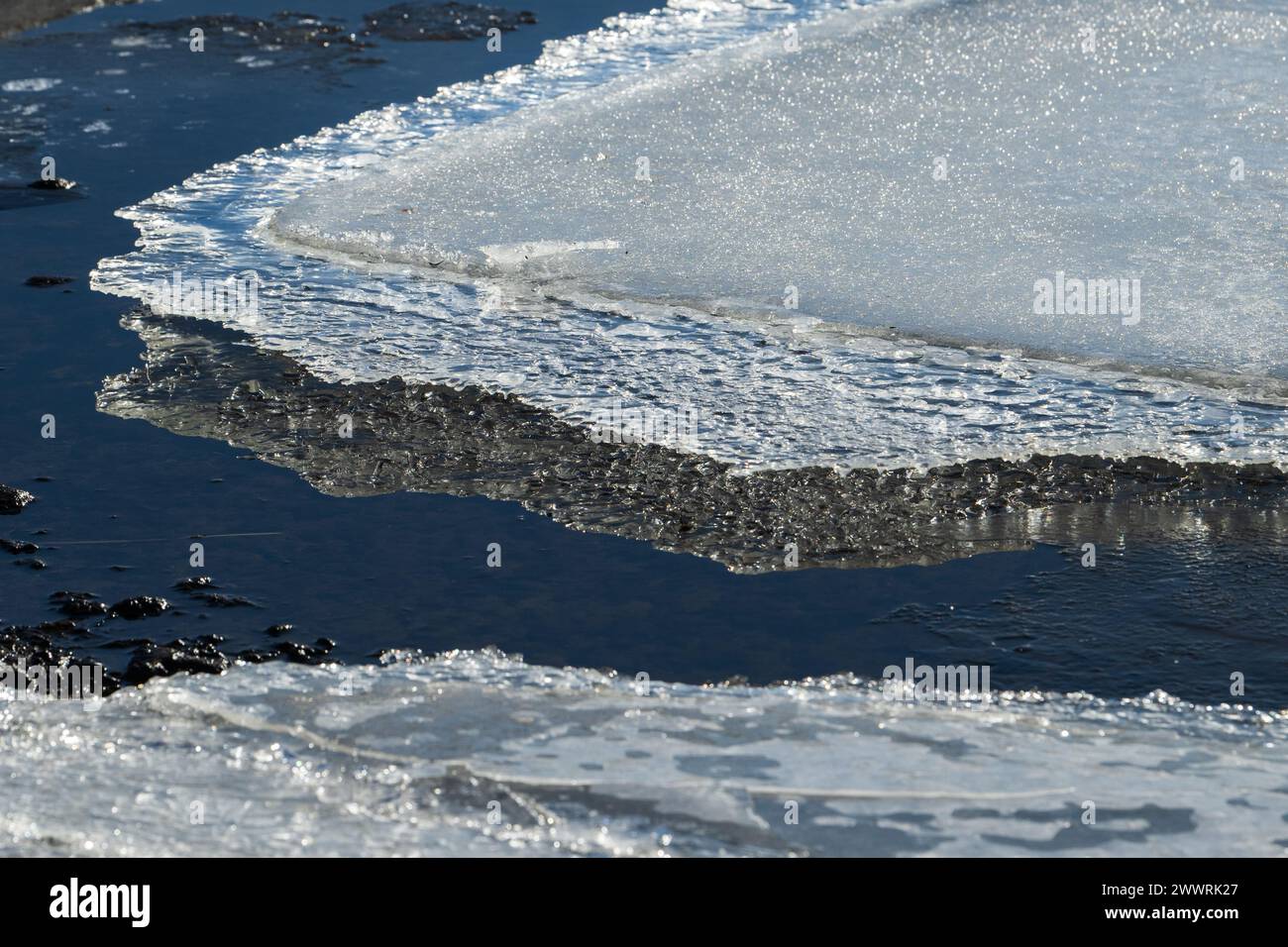 Wunderschöne Eisberge, die im Wasser schwimmen und langsam schmelzen Stockfoto