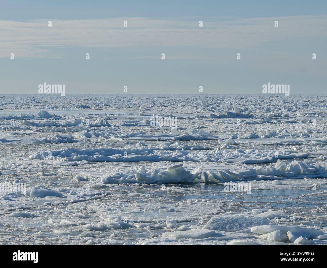 Eisschollen im Ozean mit einsamem Pinguin auf einem Stockfoto