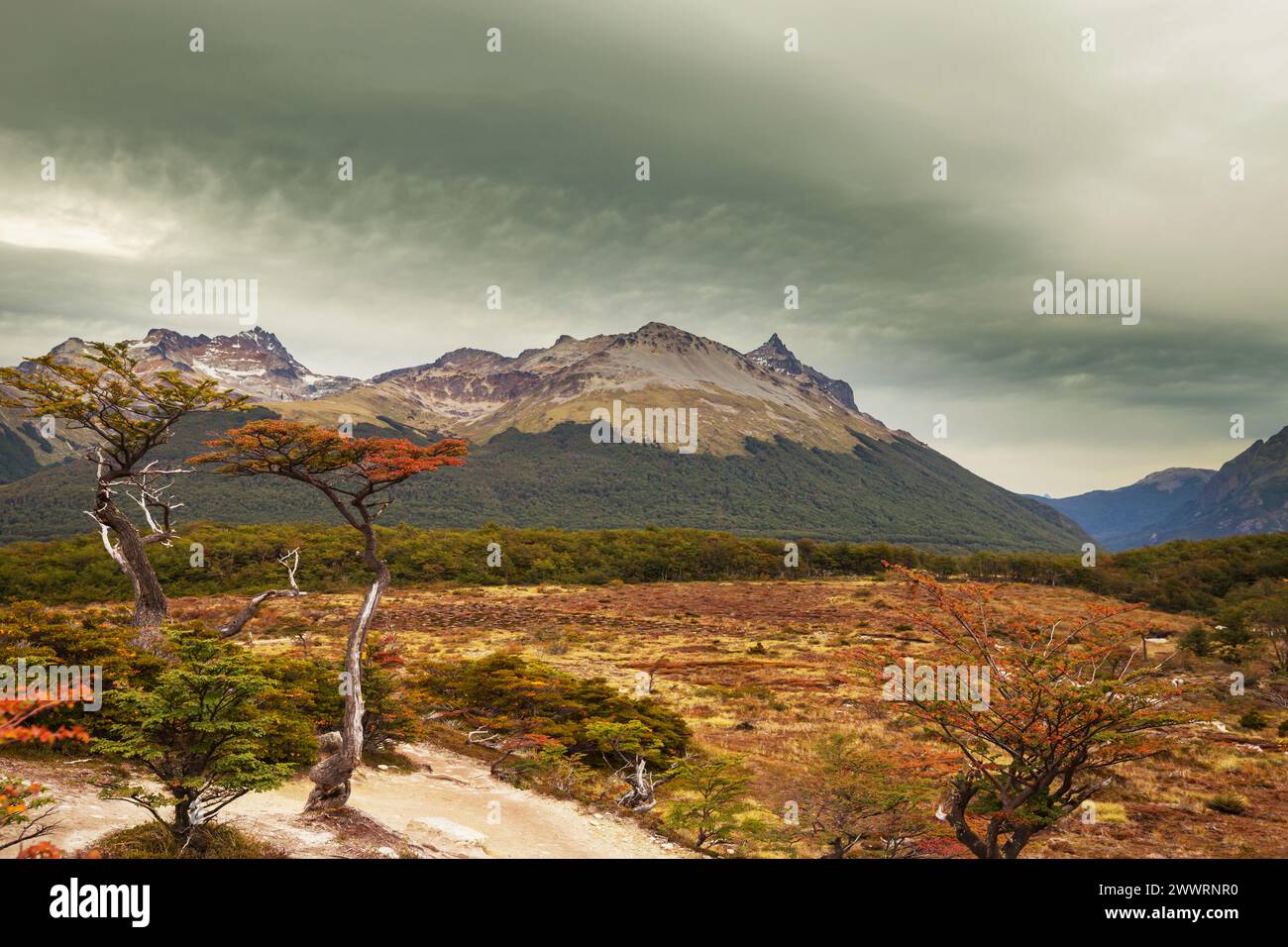 Herbst in Patagonien Berge, Südamerika, Argentinien Stockfoto