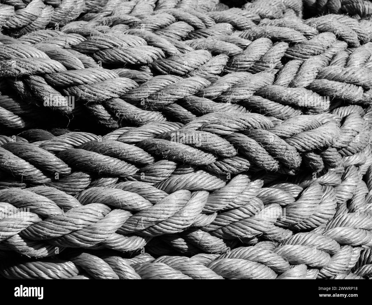 Abstrakter Hintergrund mit nautischer Seile. Schwarzweißbild. Stockfoto