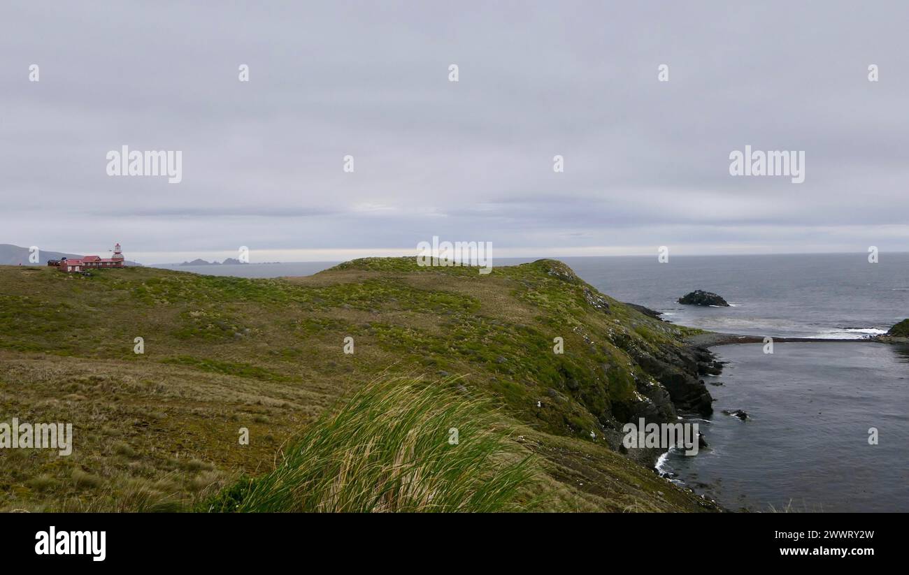 Cape Horn Gras Landschaft Und Klippe Mit Leuchtturm Im Hintergrund, Chile Stockfoto