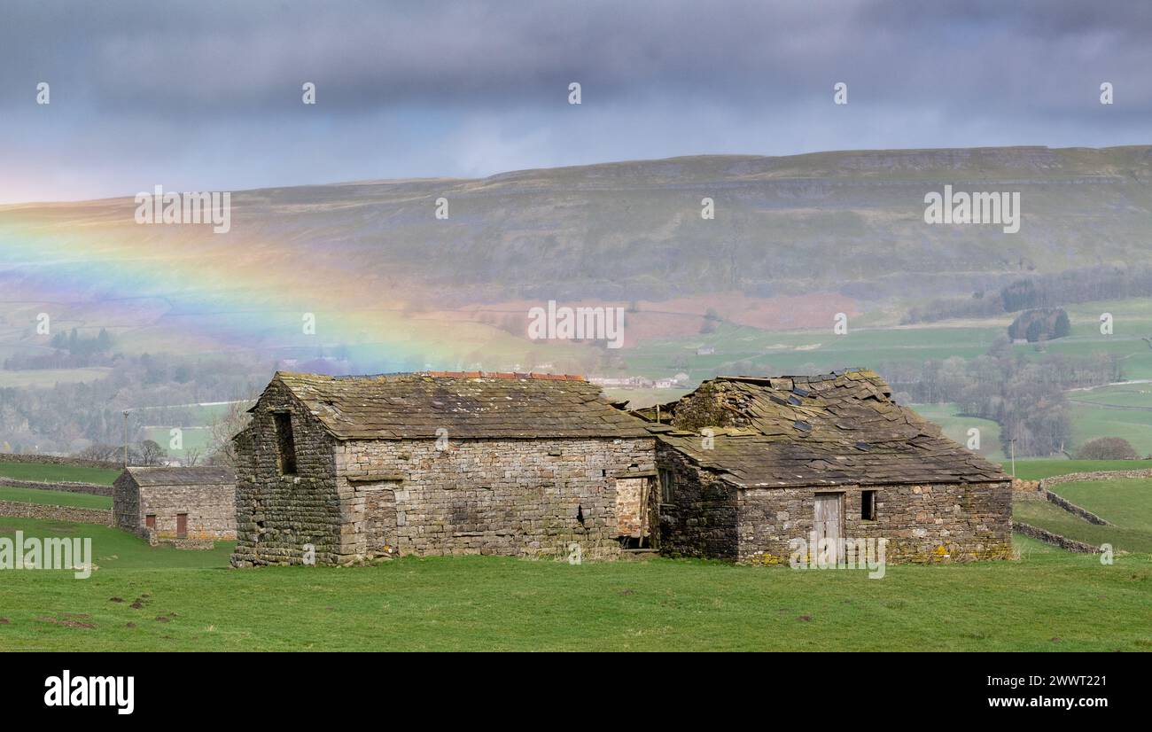 Alte Scheune in der Nähe von Hawes, Wensleydale, mit einem Regenbogen darüber. Die Scheunen sind Teil des Erbes der Dales, aber viele fallen jetzt als Th herunter Stockfoto