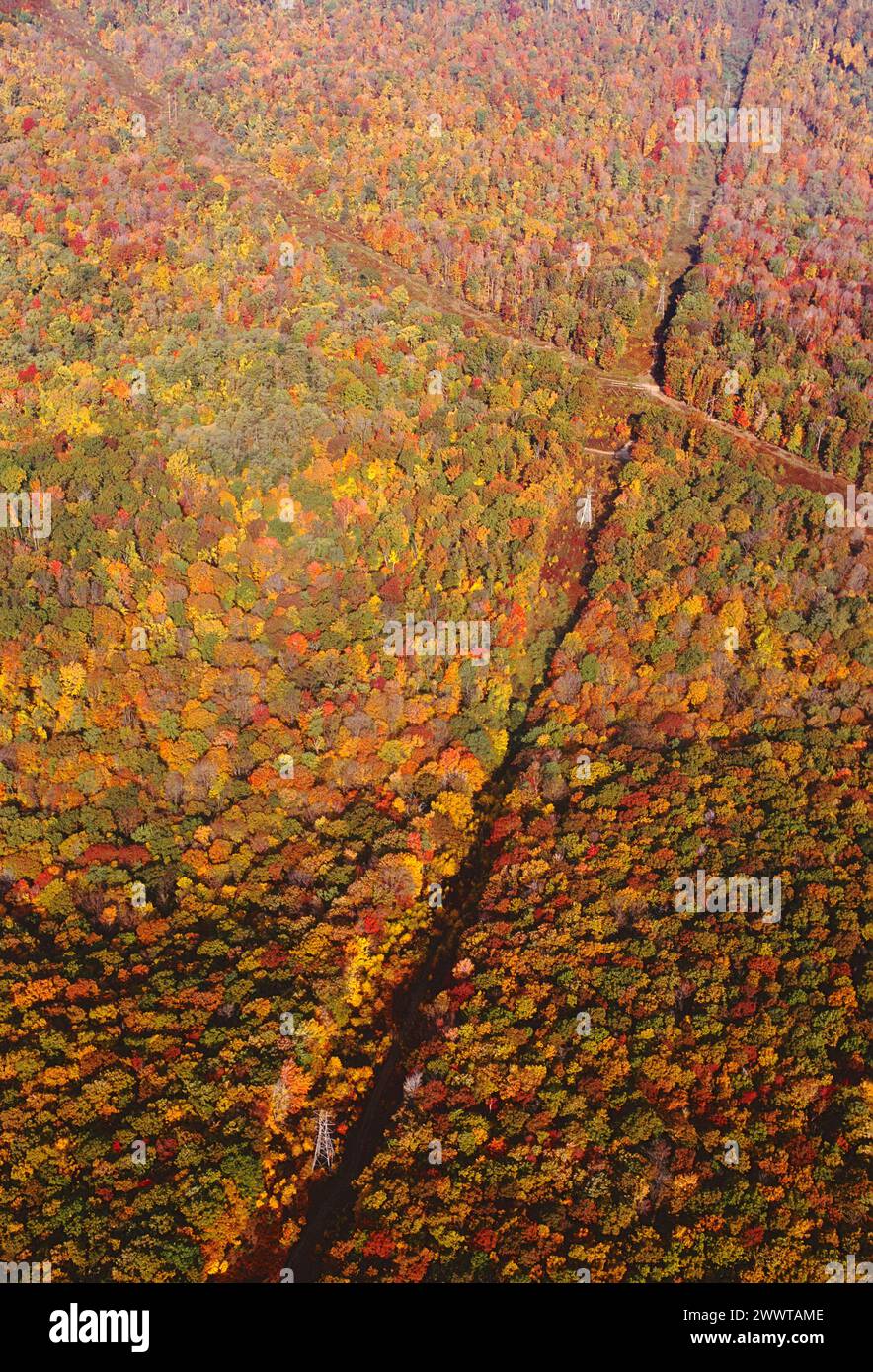 Herbstliche Luftaufnahme von Stromleitungen, die Schwaden durch den Wald von Zentral-Pennsylvania schneiden; USA Stockfoto