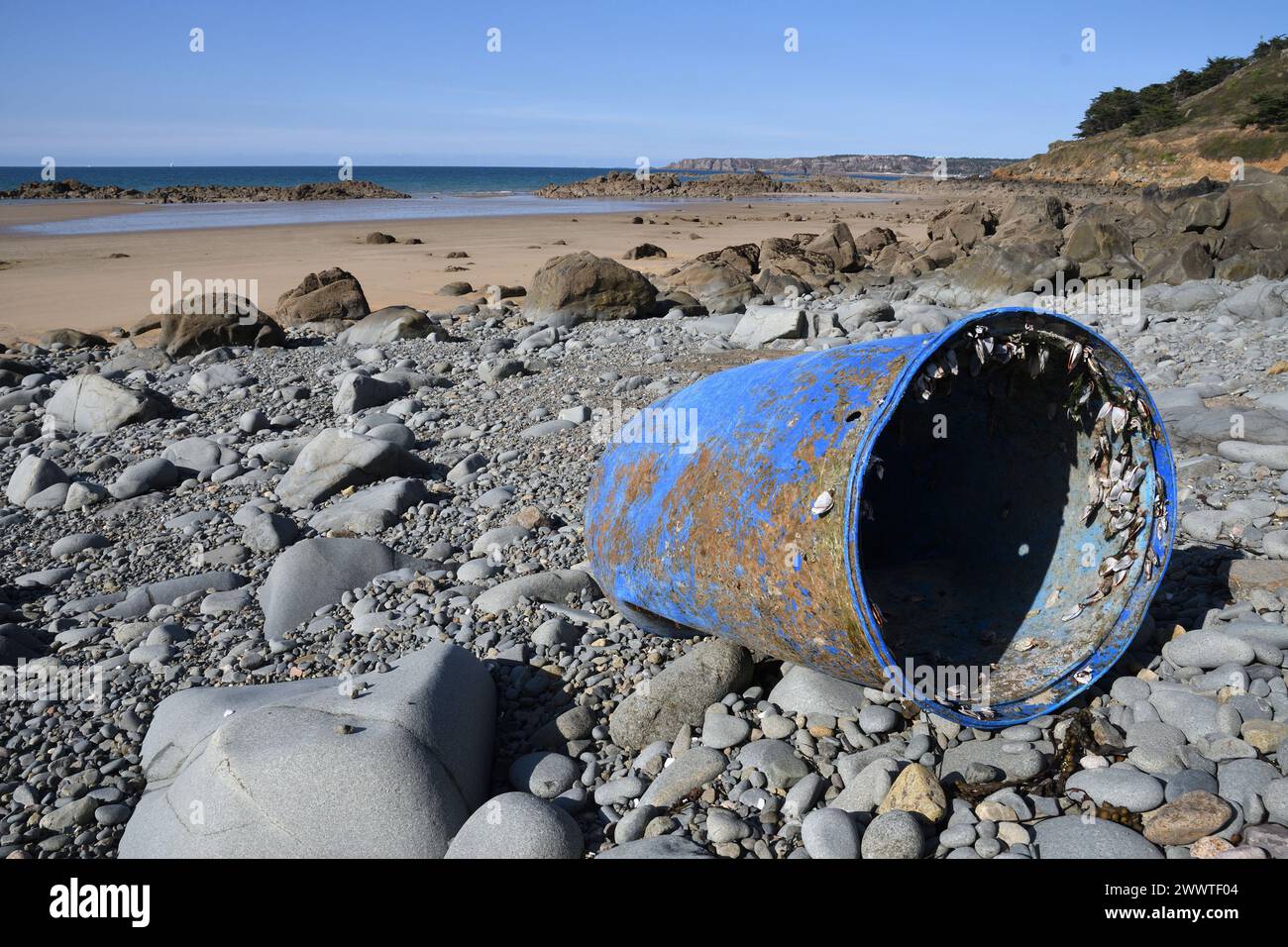 Plastikfass an der Küste gespült, Frankreich, Bretagne Stockfoto