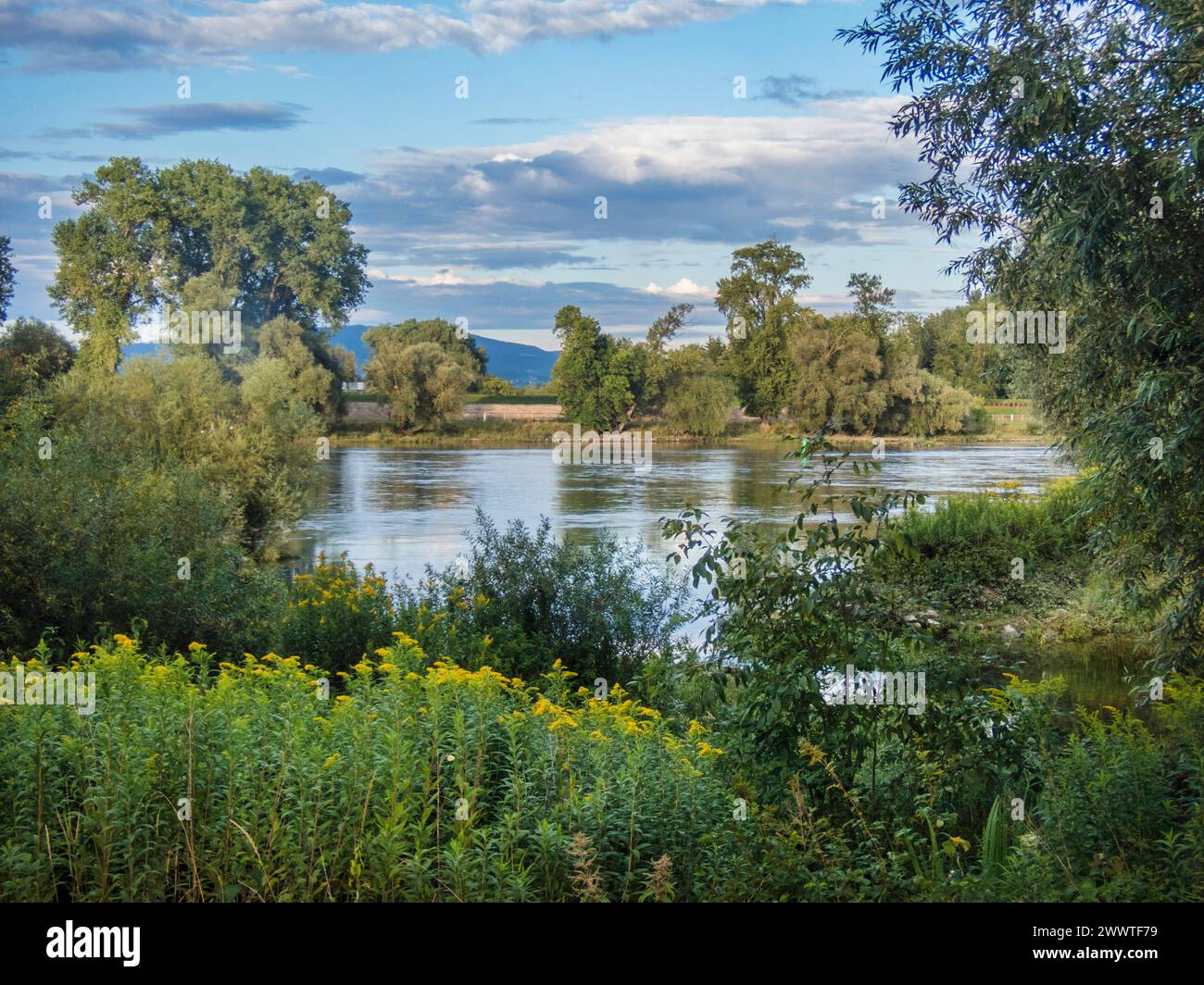 Donau bei Thundorf, Deutschland, Bayern, Niederbayern, Niederbayern Stockfoto