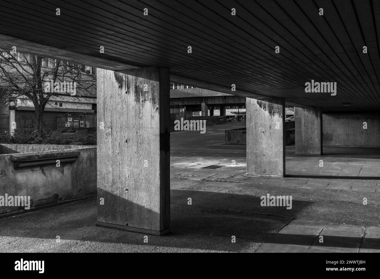 Wyndham Court brutalistische Architektur, Säulen, die eine konkrete Struktur unterstützen, abstrakte Winkelansicht, Southampton, England, Großbritannien, Stockfoto