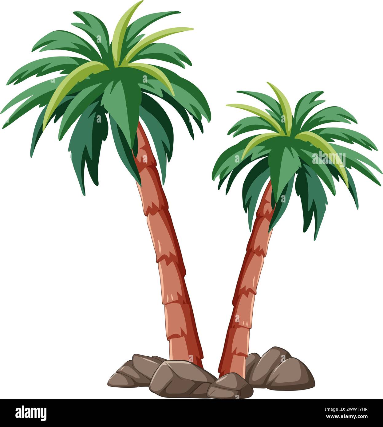 Zwei Palmen mit grünen Blättern und braunen Stämmen. Stock Vektor