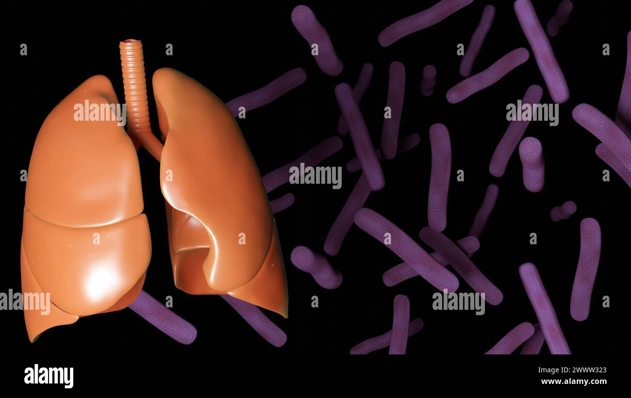 3D-Darstellung von Mycobacterium tuberculosis, Bakterien, die Tuberkulose (TB) und menschliche Lungen verursachen Stockfoto