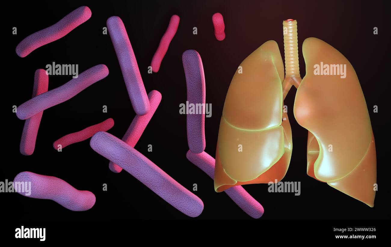 3D-Darstellung von Mycobacterium tuberculosis, Bakterien, die Tuberkulose (TB) und menschliche Lungen verursachen Stockfoto