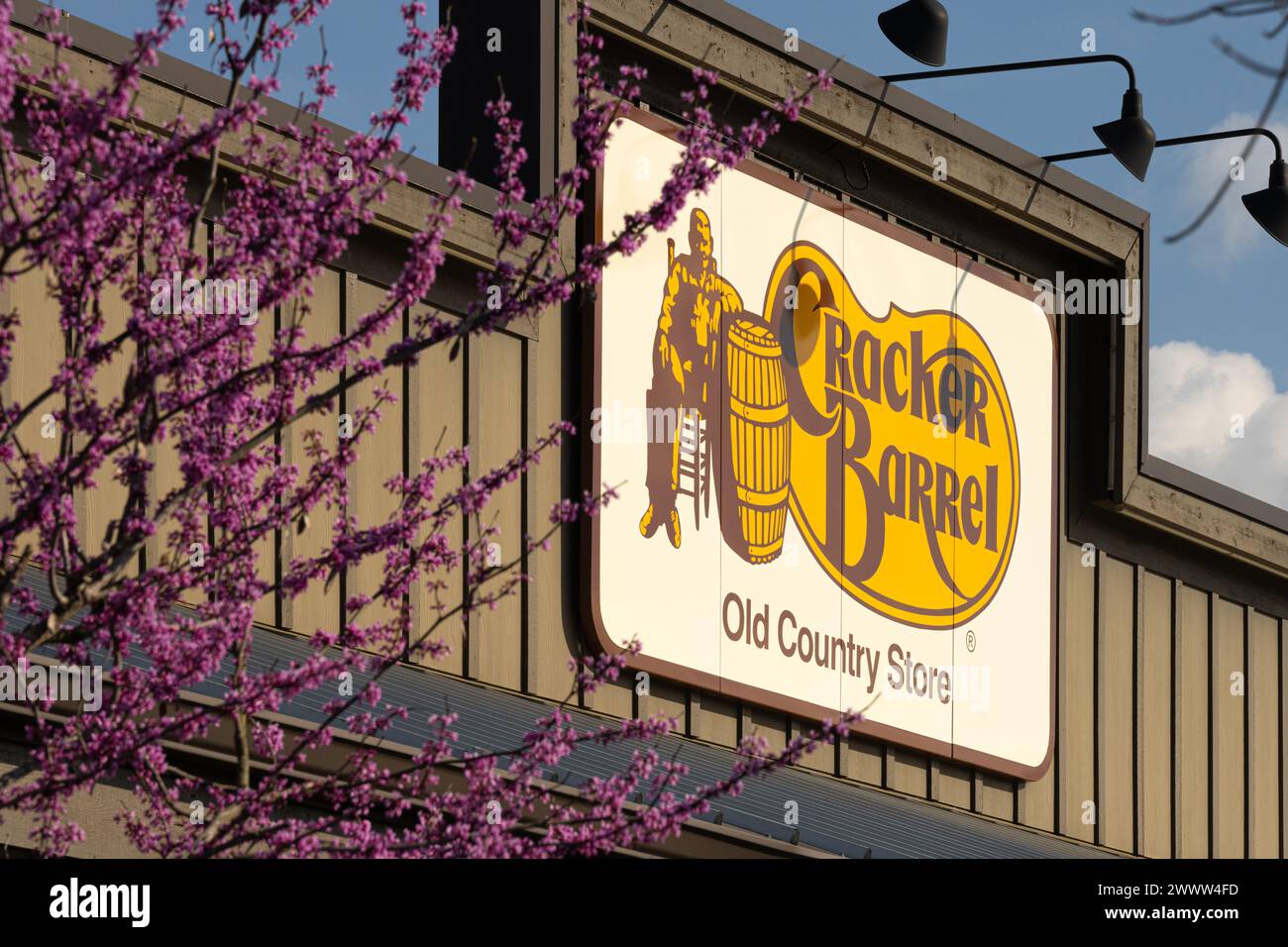 Cracker Barrel Restaurant mit einem blühenden östlichen Rotknotenbaum in Snellville, Georgia. (USA) Stockfoto