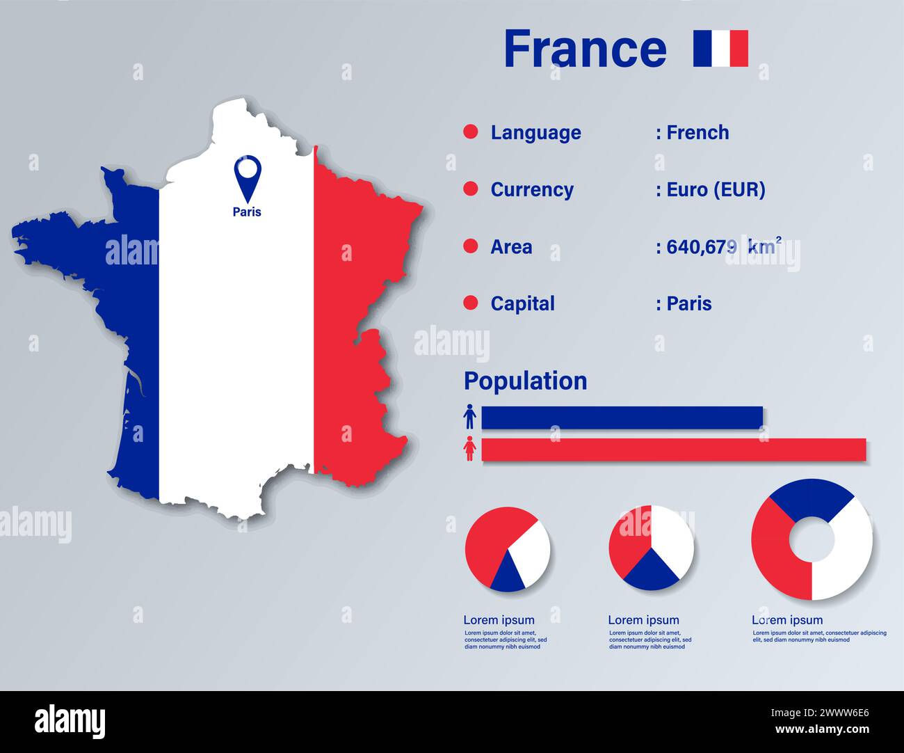 Infografik-Vektorillustration Frankreich, Statistisches Datenelement Frankreich, Informationstafel Frankreich Mit Flaggenkarte, Flaggenflagge Frankreich Stock Vektor