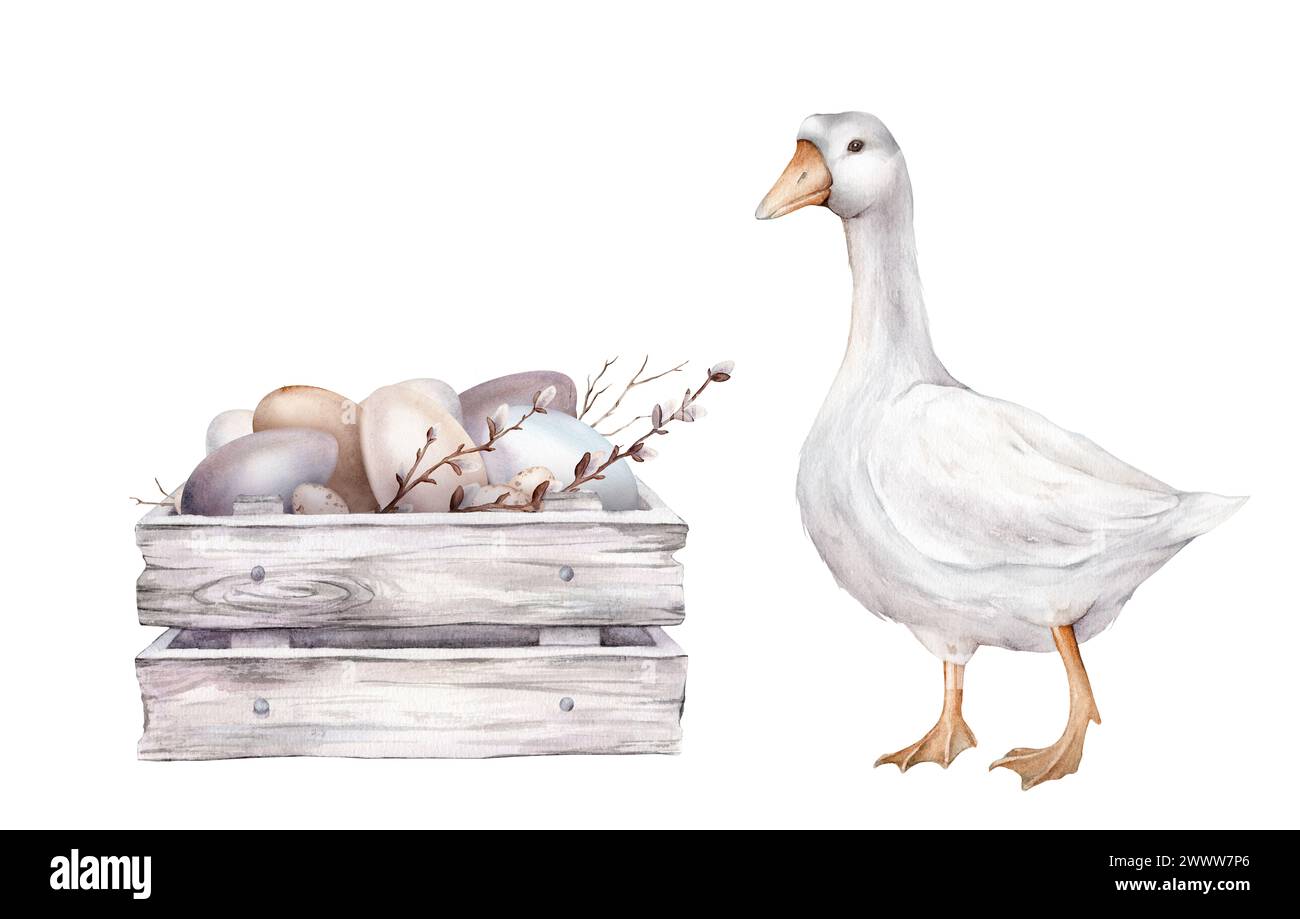 Niedliche Aquarellillustration Holzbox aus weißem Grau mit Hühnchen und Wachteleiern und Weidenzweigen und weißer Gans. Holzbretter. Handgezeichnet Stockfoto