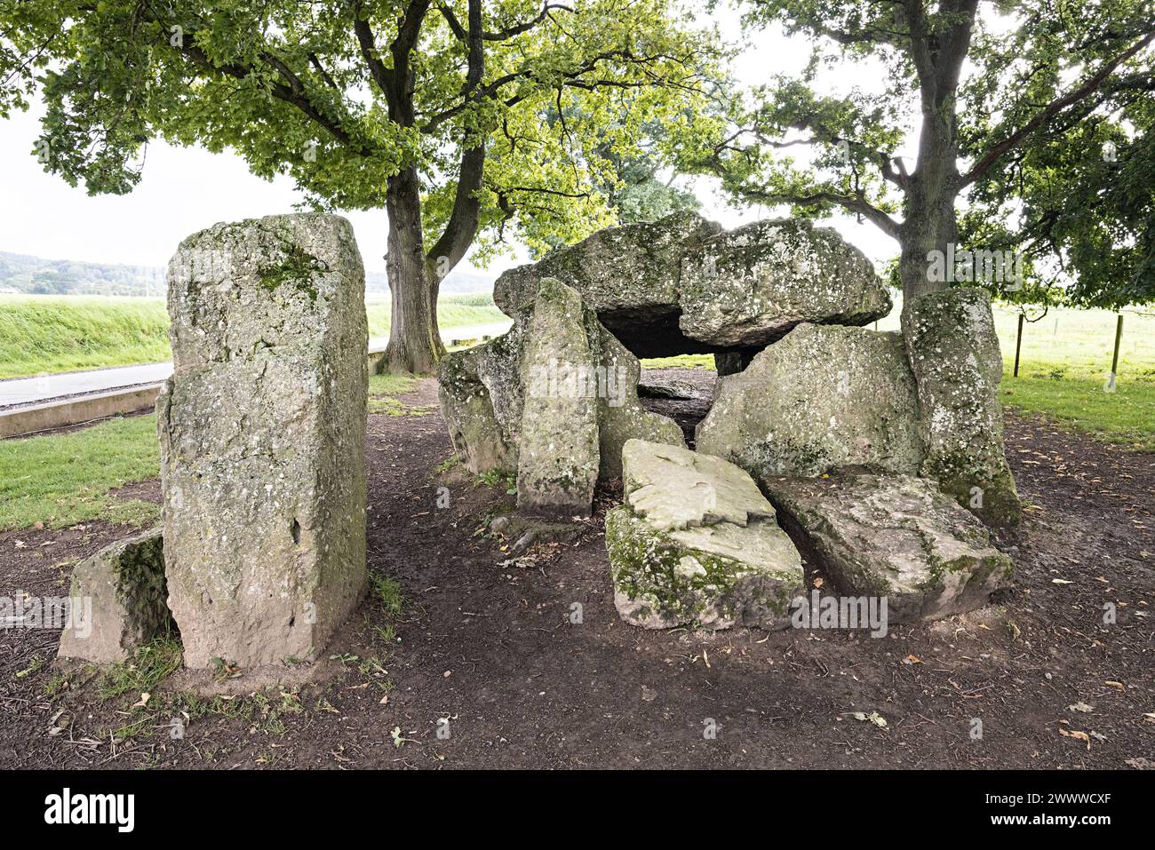 Megalith, der nördliche Dolmen, Weris, Belgien Stockfoto