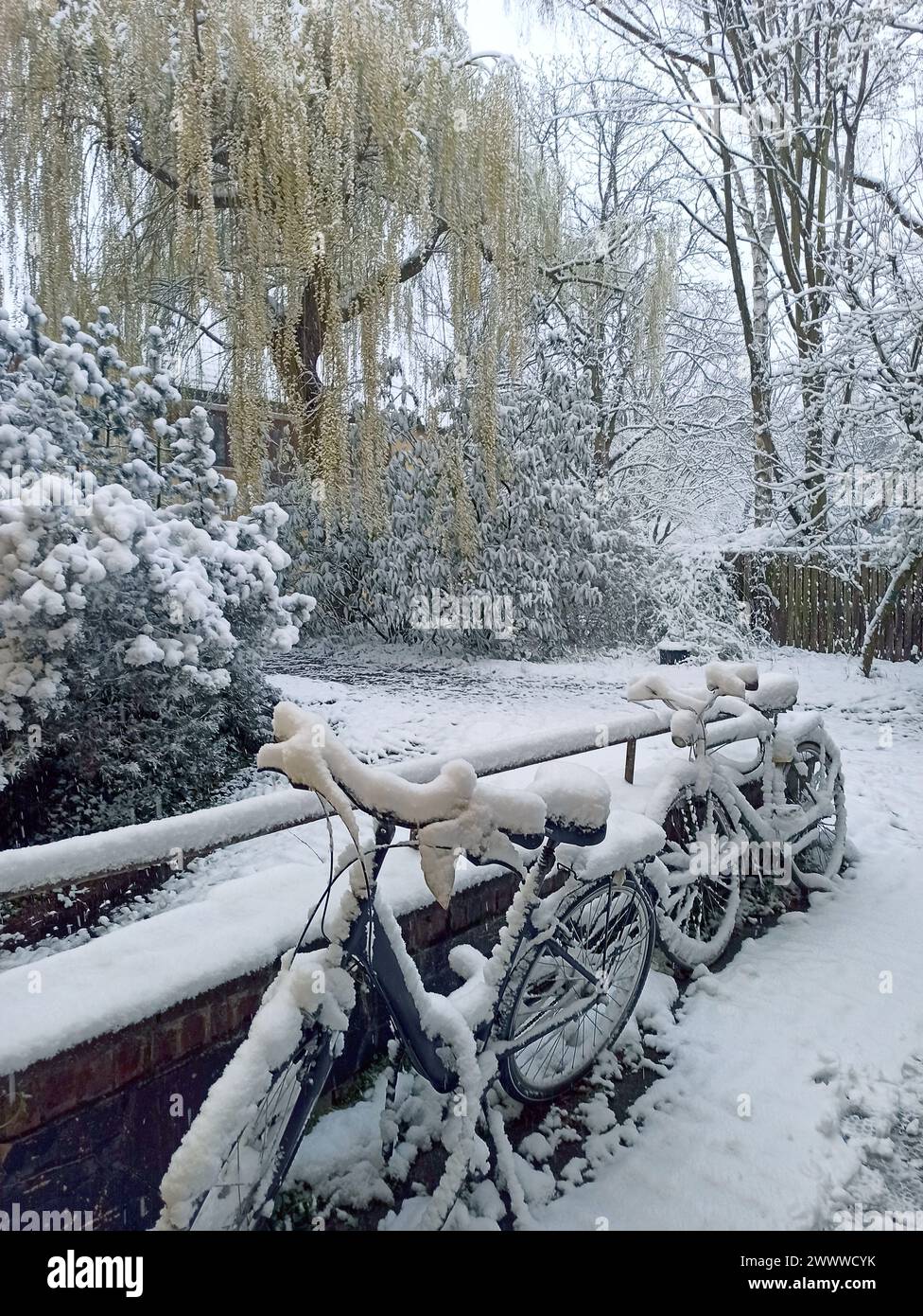 Hinterhof im Winter, Schnee Stockfoto