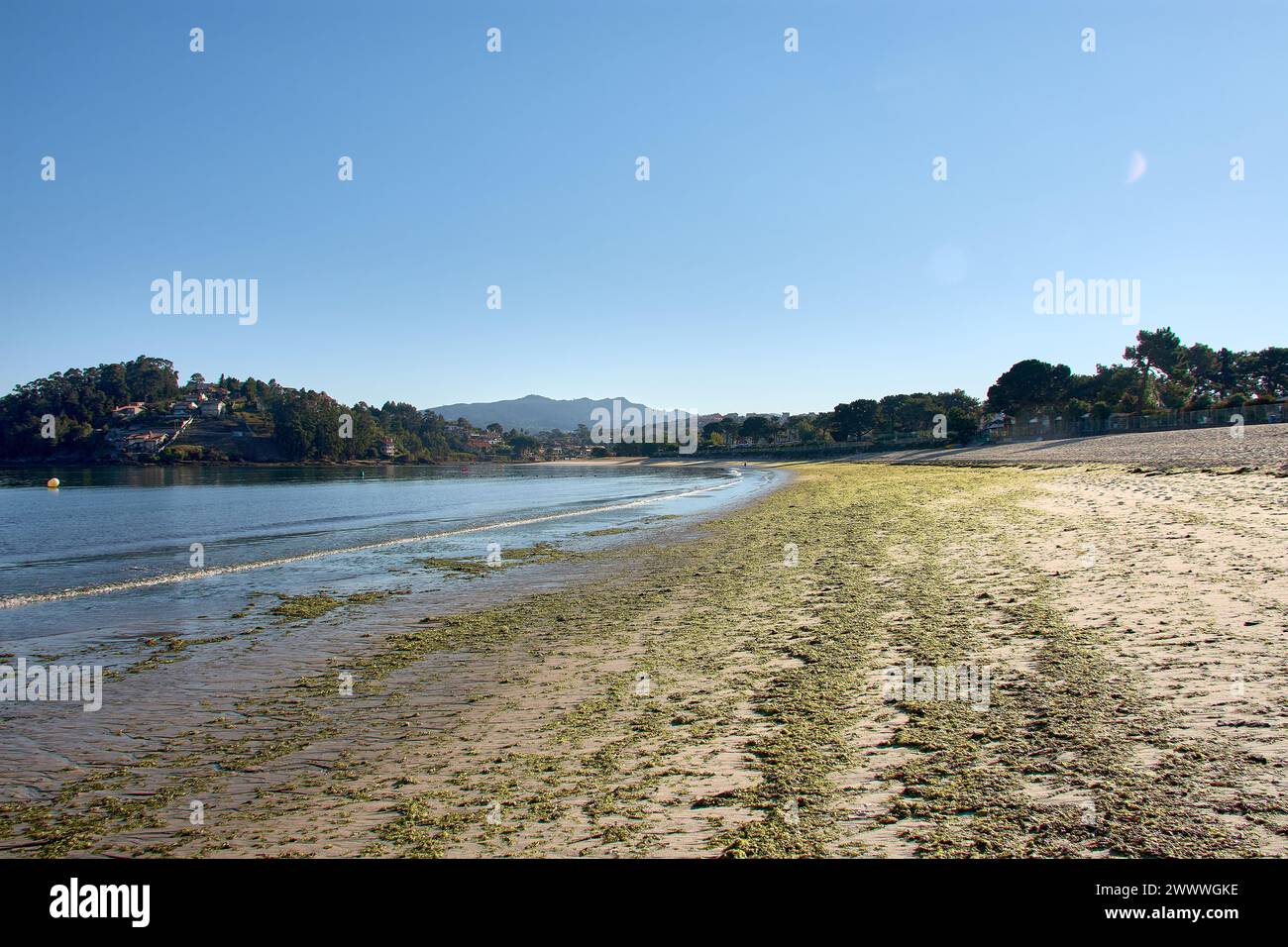 Blick vom Strand La Ladeira mit Algen in Baiona, Pontevedra, Spanien an einem sonnigen Tag Stockfoto