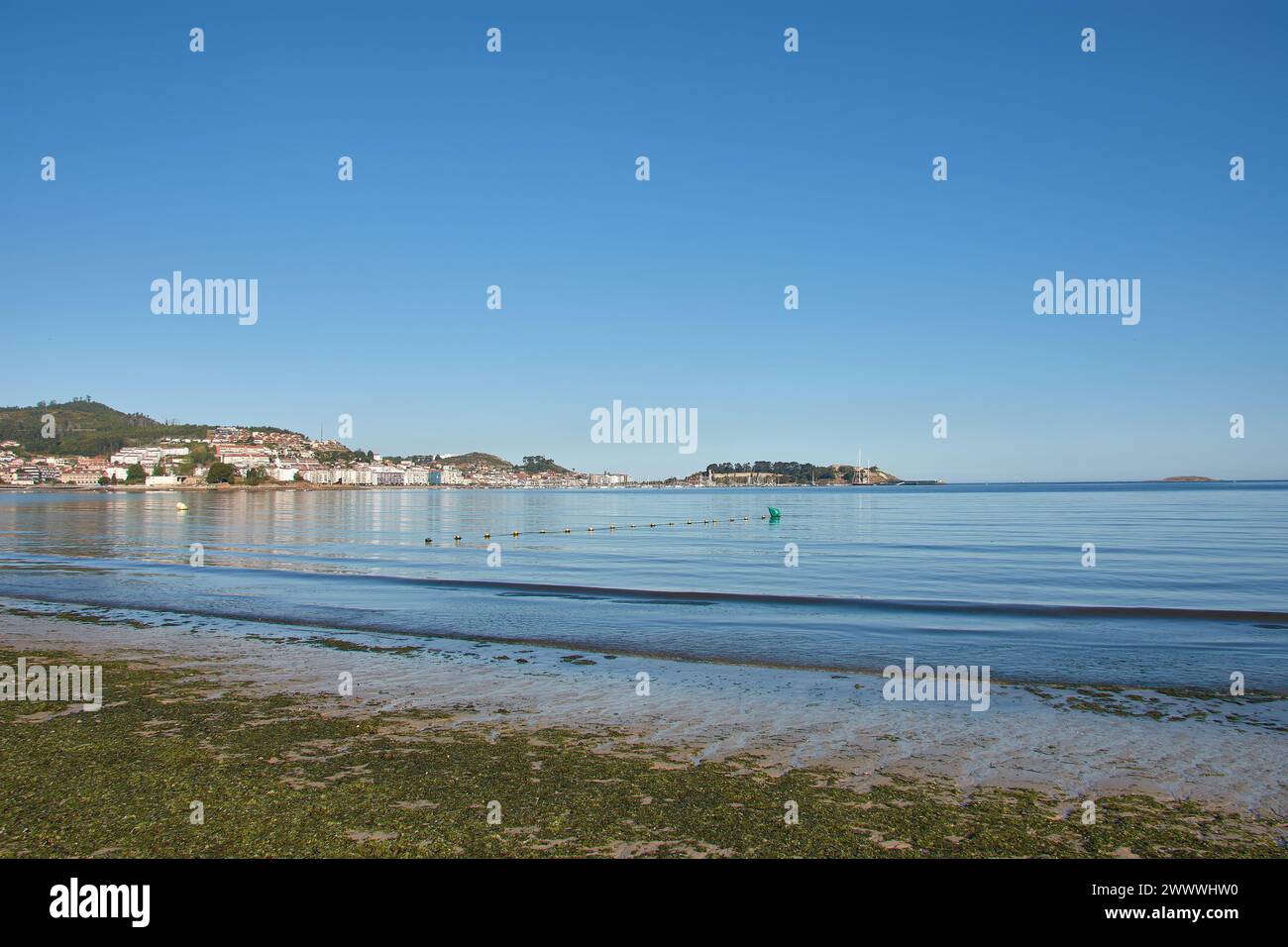 Blick vom Strand La Ladeira mit Algen in Baiona, Pontevedra, Spanien an einem sonnigen Tag Stockfoto