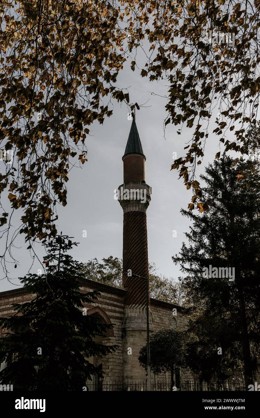 Straßenfotografie in Istanbul Stockfoto