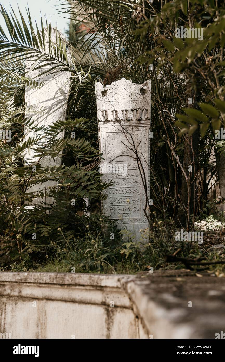 Straßenfotografie in Istanbul Stockfoto