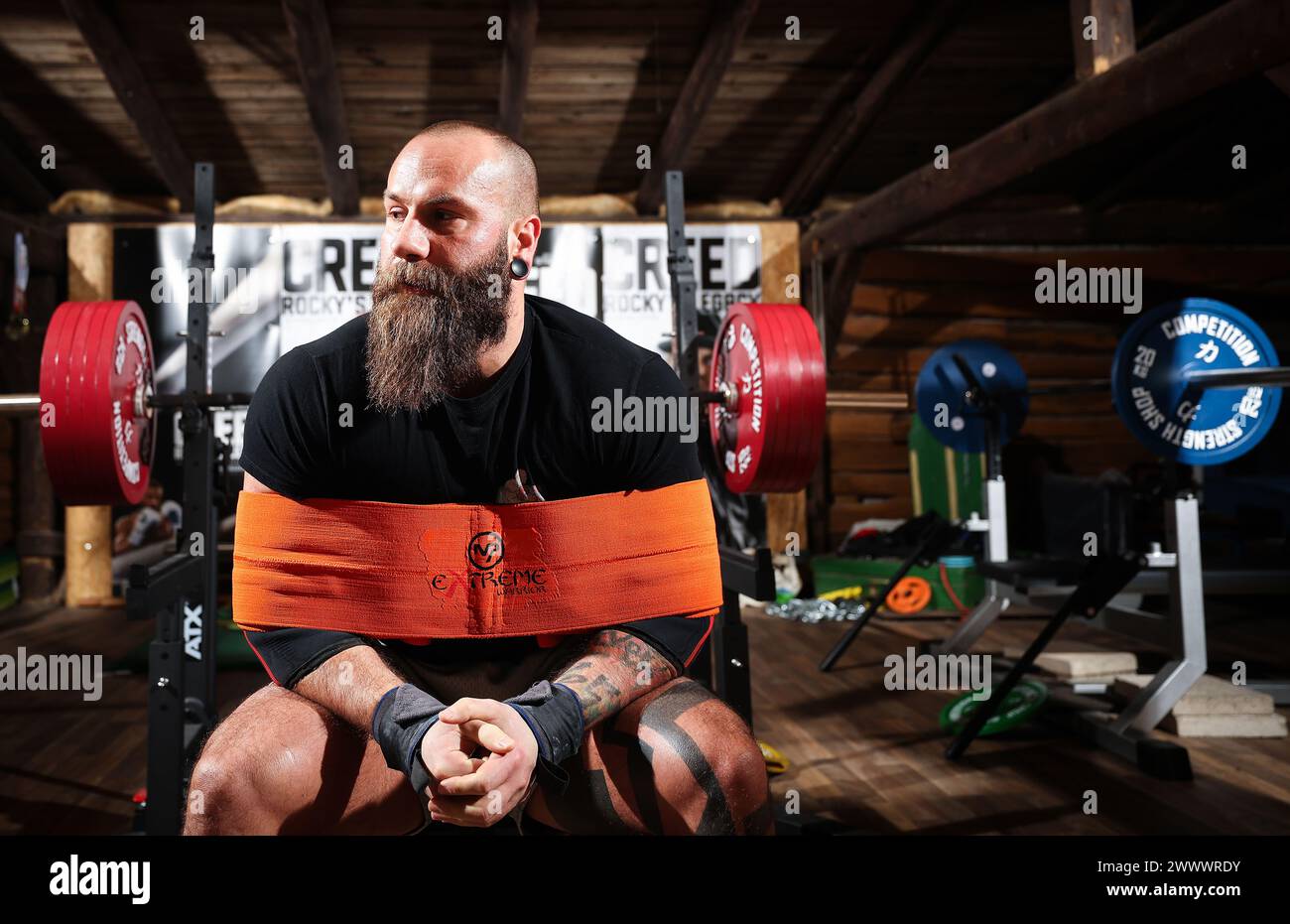 Barleben, Deutschland. März 2024. Powerlifter Benjamin „Ben“ langer trägt bei einem Training in der Schwerathletikscheune in Barleben bei Magdeburg eine sogenannte Schleuder um die Arme. Der ausgebildete Lehrer bereitet sich derzeit auf zwei deutsche Powerlifting-Meisterschaften vor. Quelle: Ronny Hartmann/dpa/Alamy Live News Stockfoto