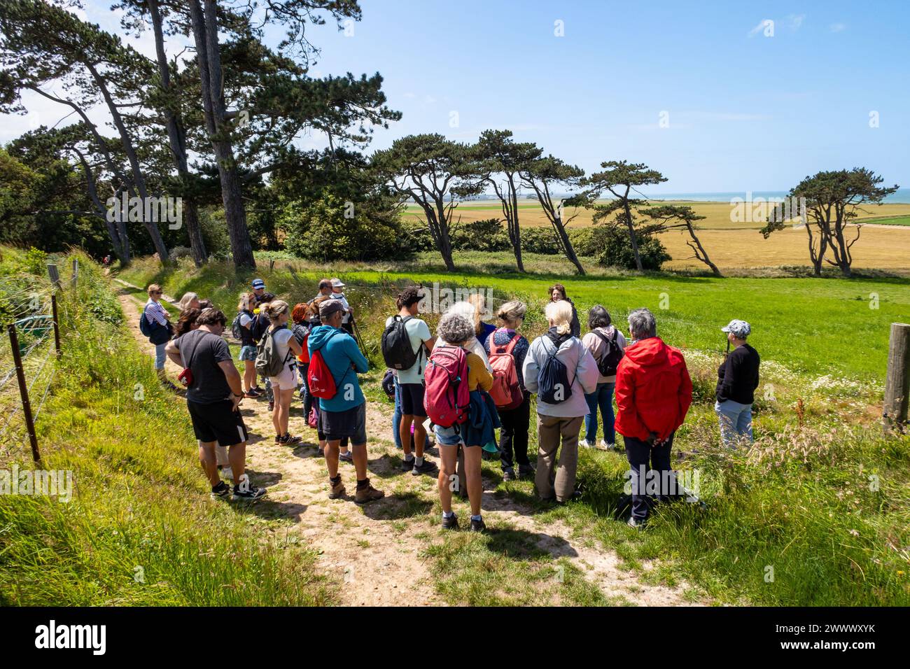 Gruppenwanderung entlang der Küste der Normandie, Küstengebiet „cote d’Albatre“ (Alabasterküste), in der Nähe von Quiberville (Nordfrankreich). Norman Coast, Ortsgespräch Stockfoto