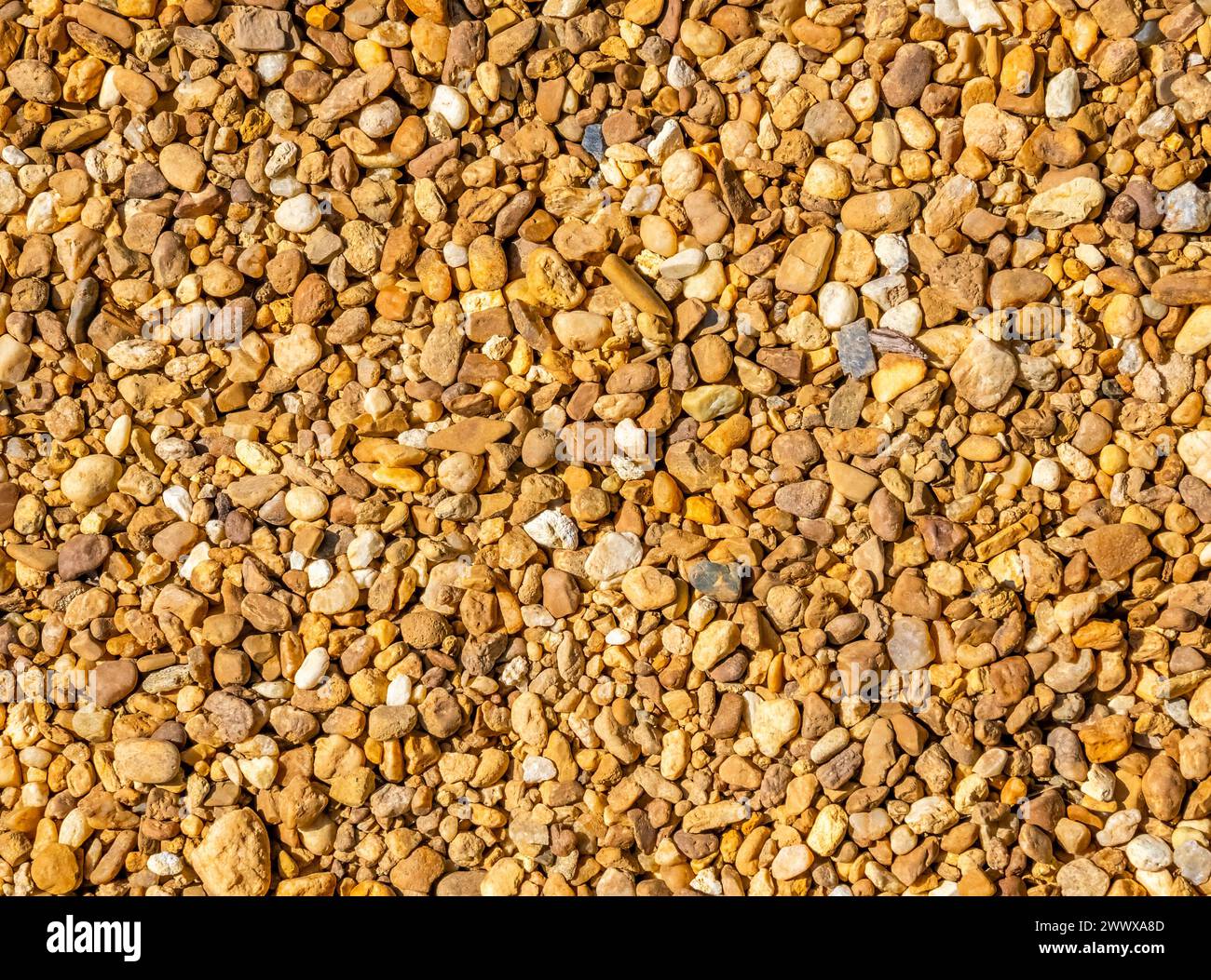 Nahaufnahme kleiner Kieselfüllrahmen Stockfoto