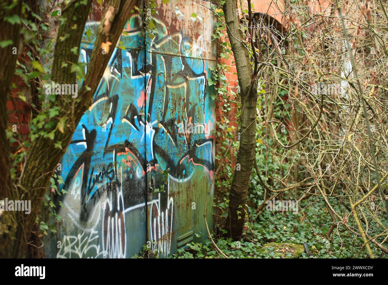 Graffiti an einem rostigen Metalltor in ein verwachsenes Gebäude. Stockfoto