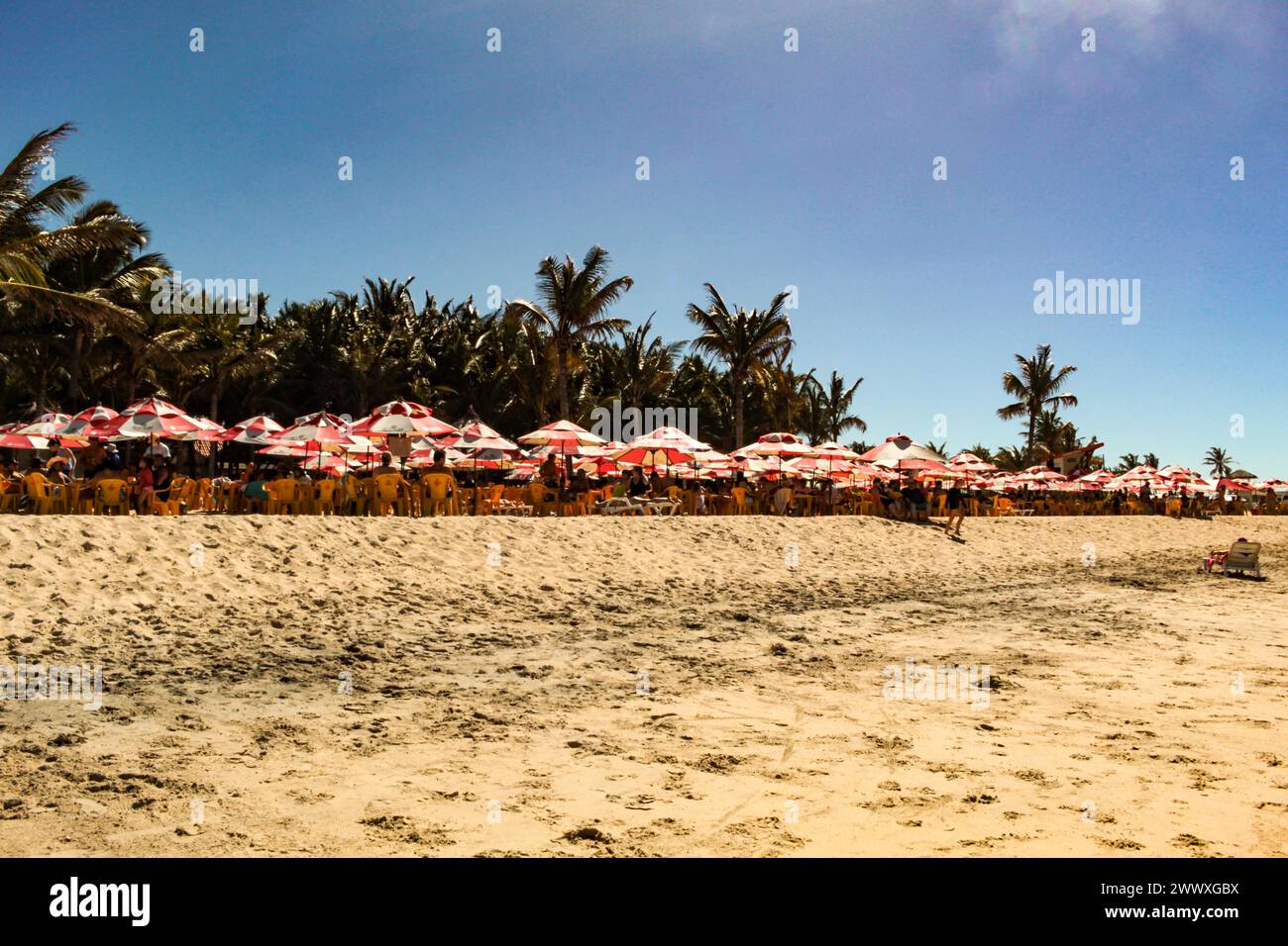 Sonnenschirme und Palmen am Future Beach, Fortaleza, Ceará, Nordosten Brasiliens, an einem sonnigen Tag mit blauem Himmel im Hintergrund. Stockfoto