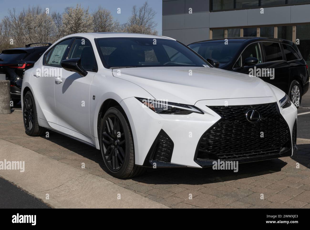 Indianapolis - 24. März 2024: Lexus IST 350 F Sport Display in einem Händlerbetrieb. Lexus bietet den IS350 als Basis-, F Sport- oder F Sport Performance-Modelle an. MEIN Stockfoto
