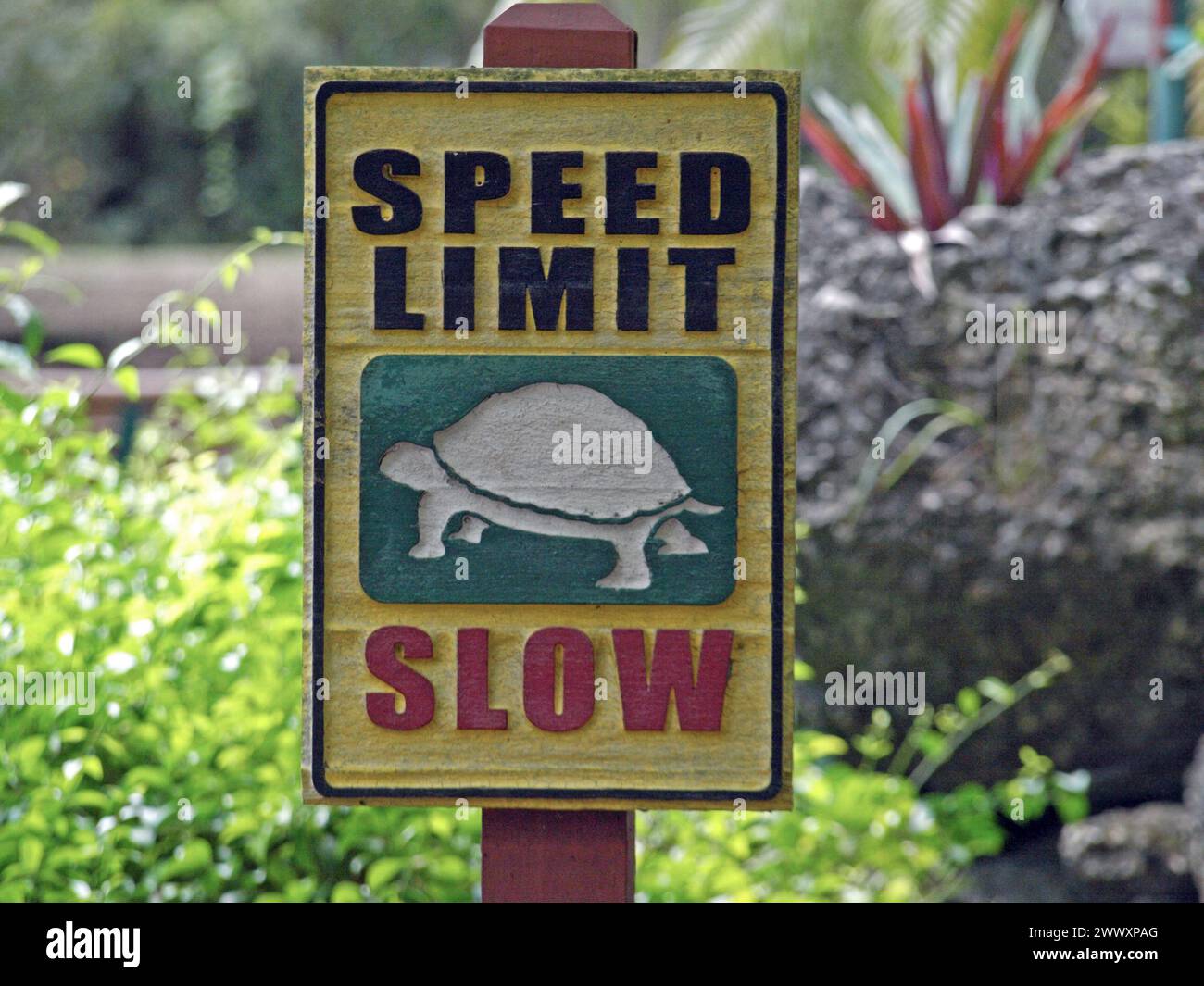 Komisches Schild für langsame Geschwindigkeitsbegrenzung im Miami Zoo. Stockfoto