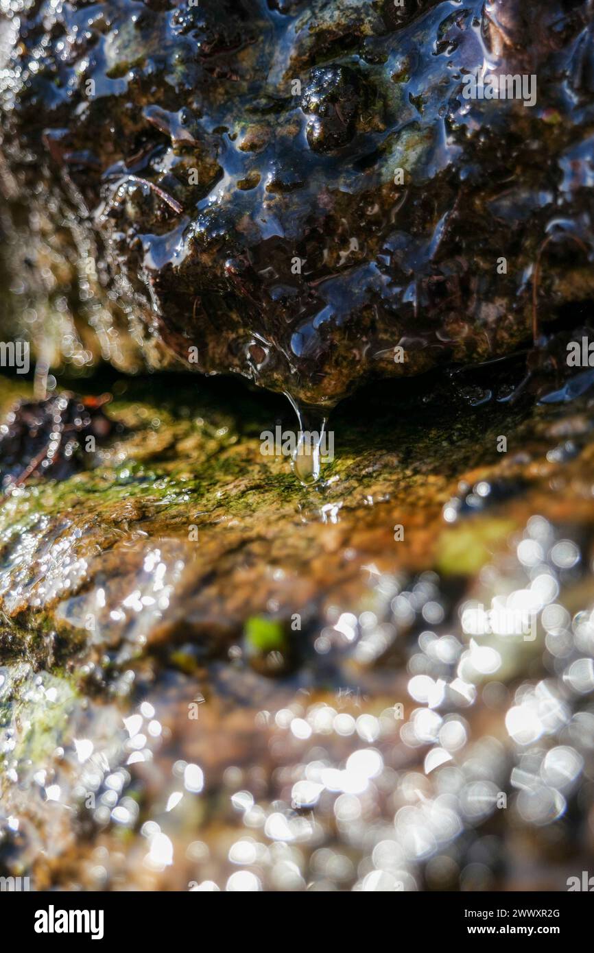 Tropfen schmelzenden Schnees fließen die Steine hinunter Stockfoto