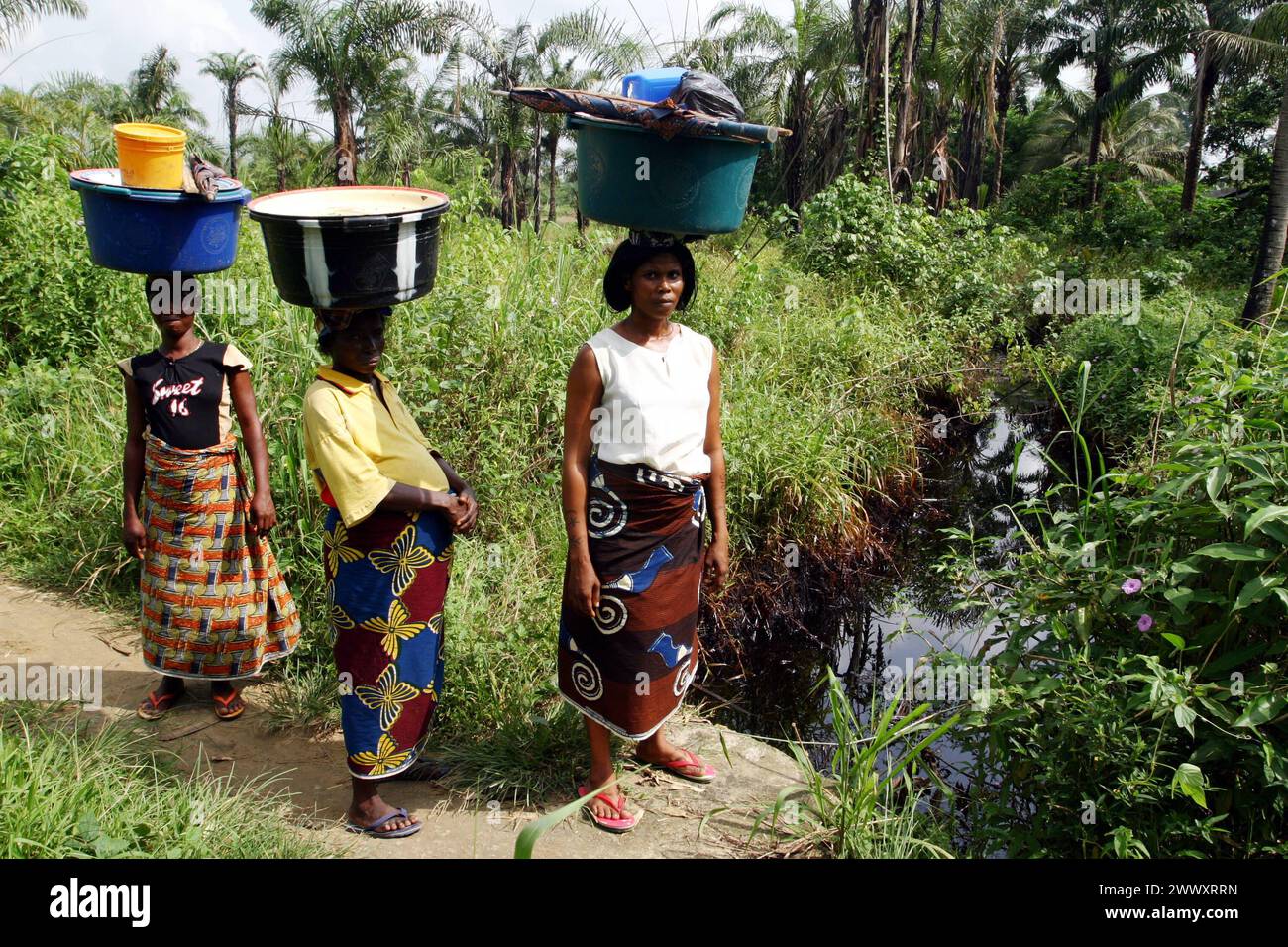 Die Ölkatastrophe im Nigerdelta. 26.11.2004, NGA, Nigeria. Flussstaat Gokana: Auswirkungen des leckgeschlagenen Bomu Ölfeld in der Kpor Gemeinde im Ogoni Gebiet. Die Umweltzerstoerung durch das Rohöl des ehemaligen Bomu Ölfeld von Shell. Dies war im Sommer 2004 für 9 Wochen Leckgeschlagen ohne das Shell das Bohrloch bzw. Eruptionskreuz Christmas Tree verschloss. Das Rohöl verseuchte den Boden, Plantagen und Flussläufe und hatte gesundheitliche Auswirkungen auf Mensch und Tier. NGA, Nigeria. River State, Gokana: Auswirkungen des Ölfeldes Bomu in der Gemeinde Kpor, Ogoni. Die Umwelt Stockfoto