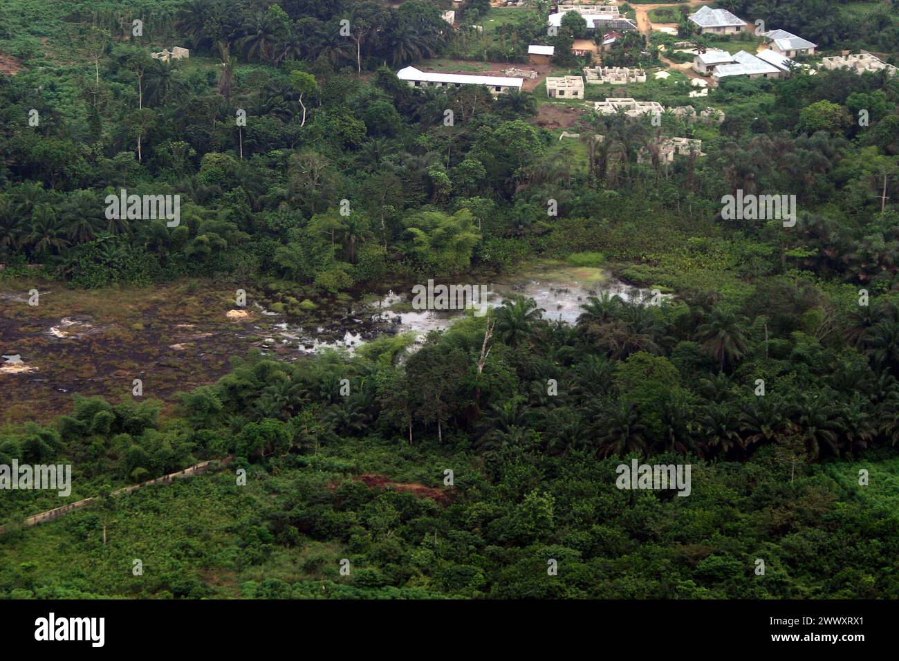 Die Ölkatastrophe im Nigerdelta. 26.11.2004, NGA, Nigeria. Flussstaat Gokana: Auswirkungen des leckgeschlagenen Bomu Ölfeld in der Kpor Gemeinde im Ogoni Gebiet. Die Umweltzerstoerung durch das Rohöl des ehemaligen Bomu Ölfeld von Shell. Dies war im Sommer 2004 für 9 Wochen Leckgeschlagen ohne das Shell das Bohrloch bzw. Eruptionskreuz Christmas Tree verschloss. Das Rohöl verseuchte den Boden, Plantagen und Flussläufe und hatte gesundheitliche Auswirkungen auf Mensch und Tier. NGA, Nigeria. River State, Gokana: Auswirkungen des Ölfeldes Bomu in der Gemeinde Kpor, Ogoni. Die Umwelt Stockfoto