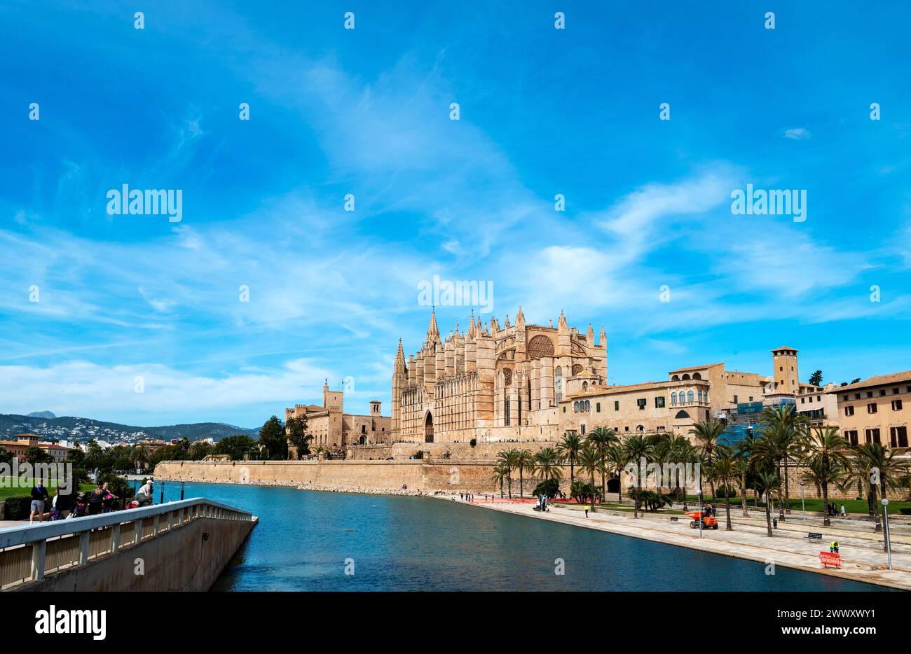 Parc de la Mar vor der Kathedrale Santa Maria, La Seu, ganz links Almudaina Palast, Palma de Mallorca, Mallorca, Balearen, Spanien Stockfoto