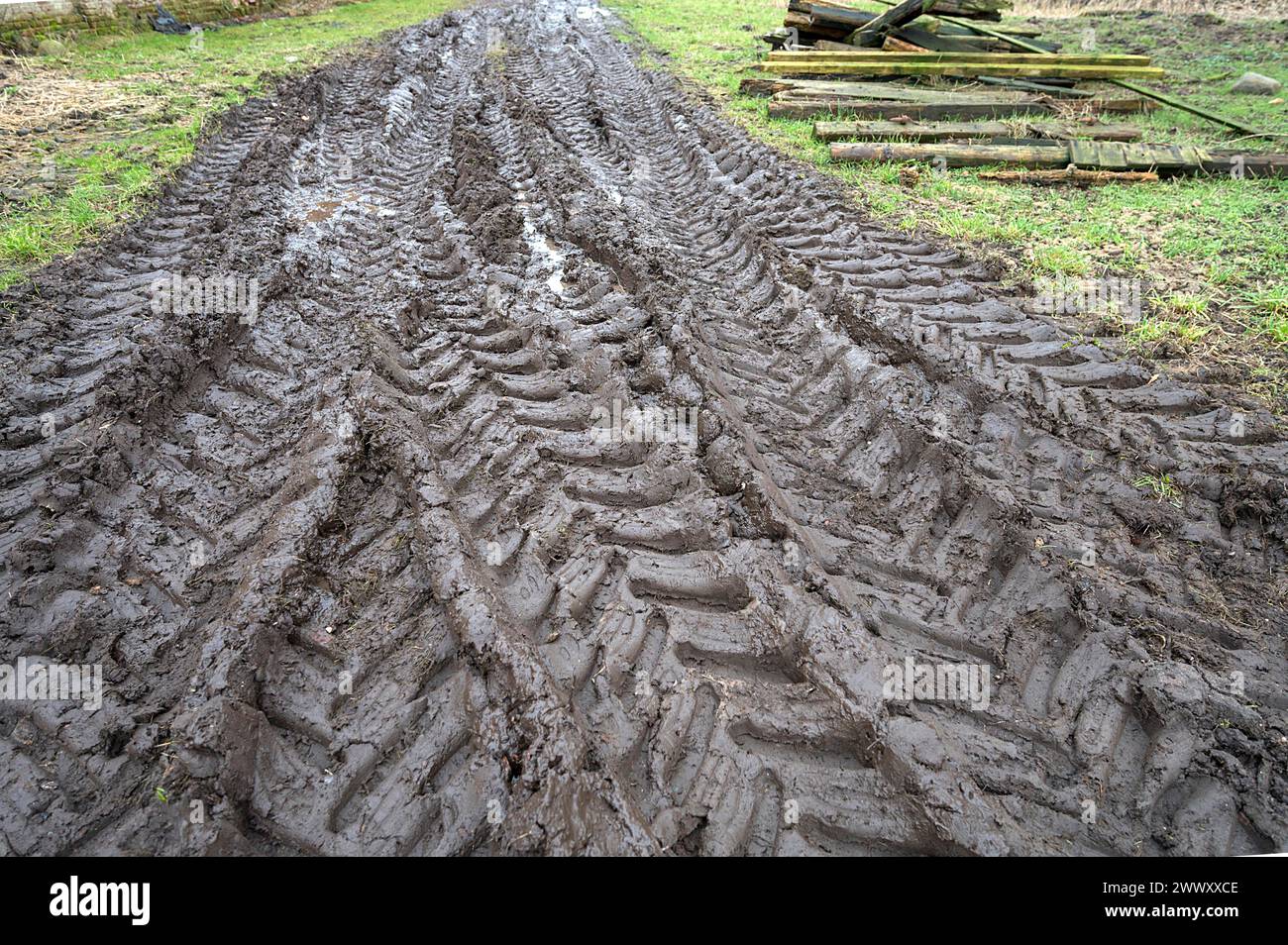 Reifenspuren in weichem Boden auf einem landwirtschaftlichen Betrieb in Mecklenburg-Vorpommern, Deutschland Stockfoto