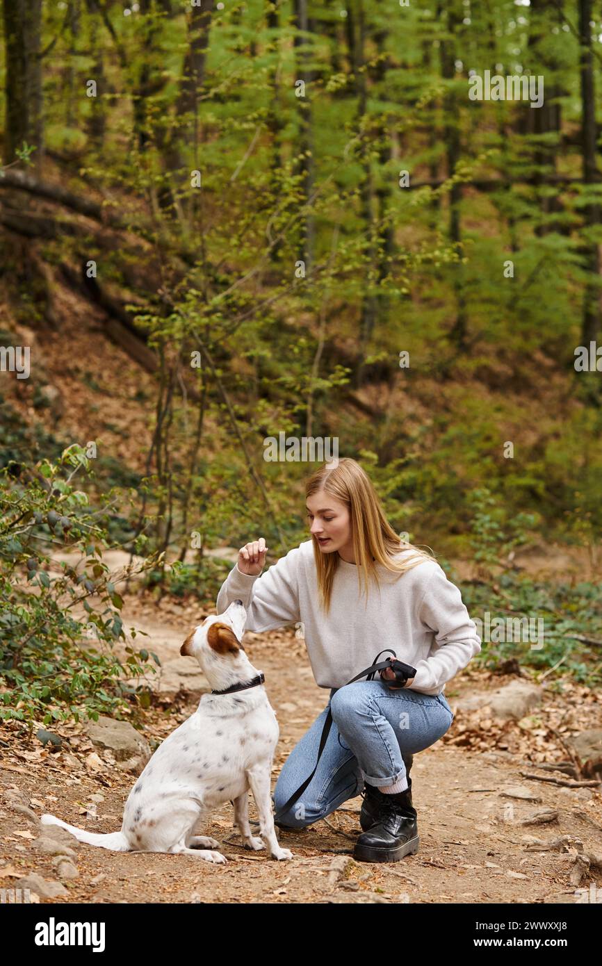 Schöne blonde Frau, die mit Hund im Wald sitzt und sich beim Training ansieht Stockfoto