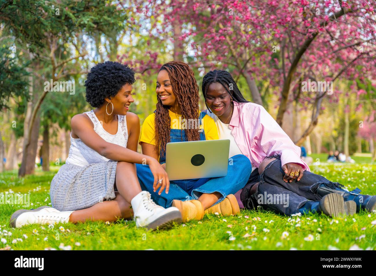 Gruppe von drei afroamerikanischen jungen Frauen, die einen Laptop benutzen und in einem Park sitzen Stockfoto