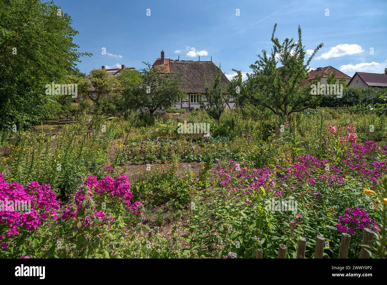 Bauerngarten mit reetgedecktem Bauernhaus aus dem 19. Jahrhundert, im Freilichtmuseum für Volkskunde Schwerin-Muess, Mecklenburg-Vorpommerm, Deutschland Stockfoto
